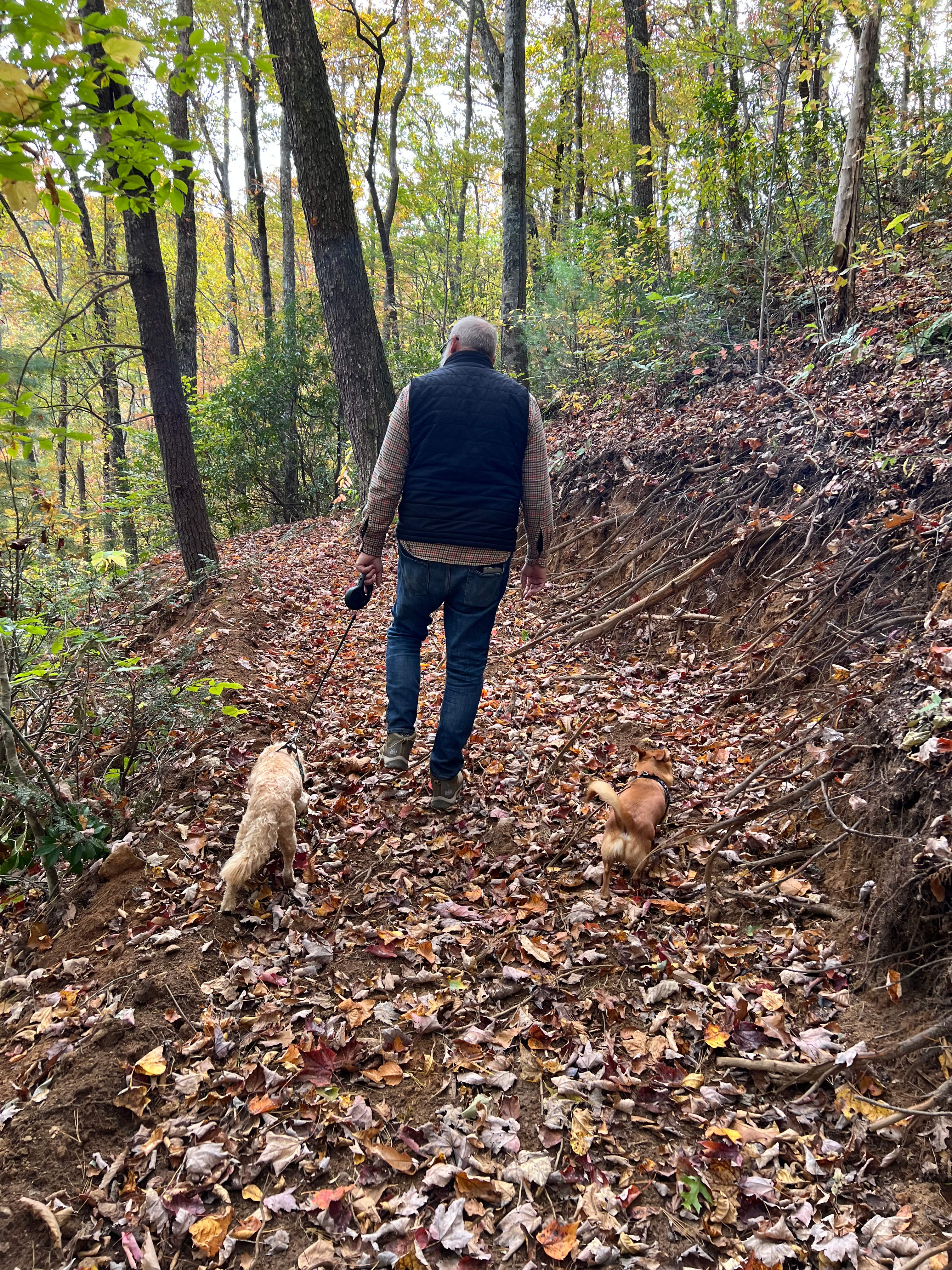 The Cove at Dick Branch