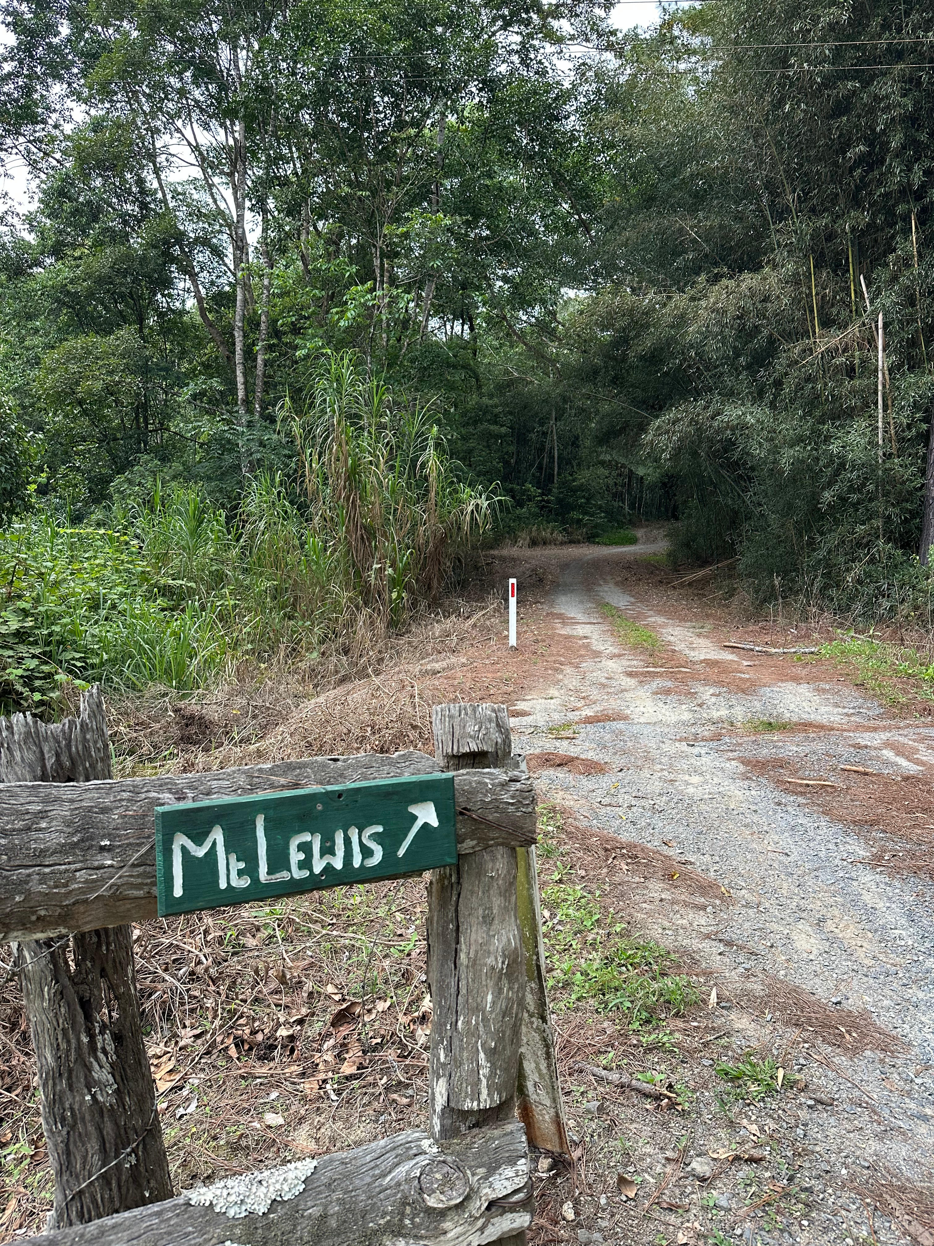 Mt Lewis Wilderness Camp