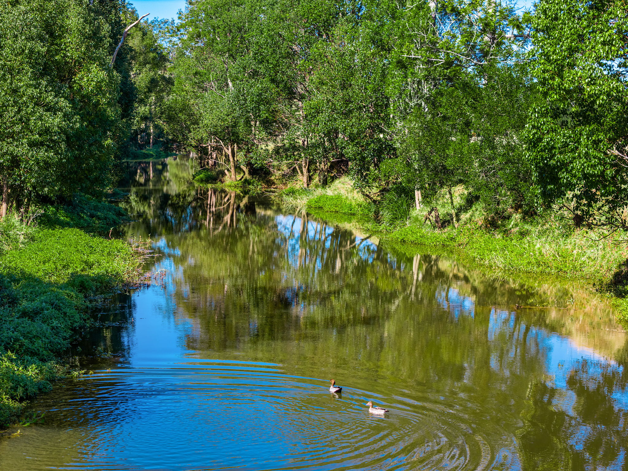 Eltham Station Farm Stay
