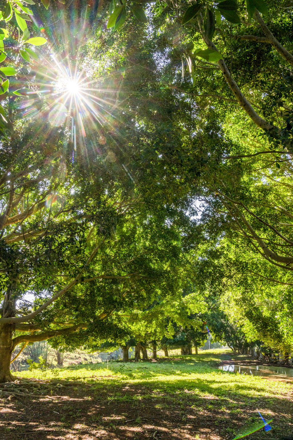 Eltham Station Farm Stay