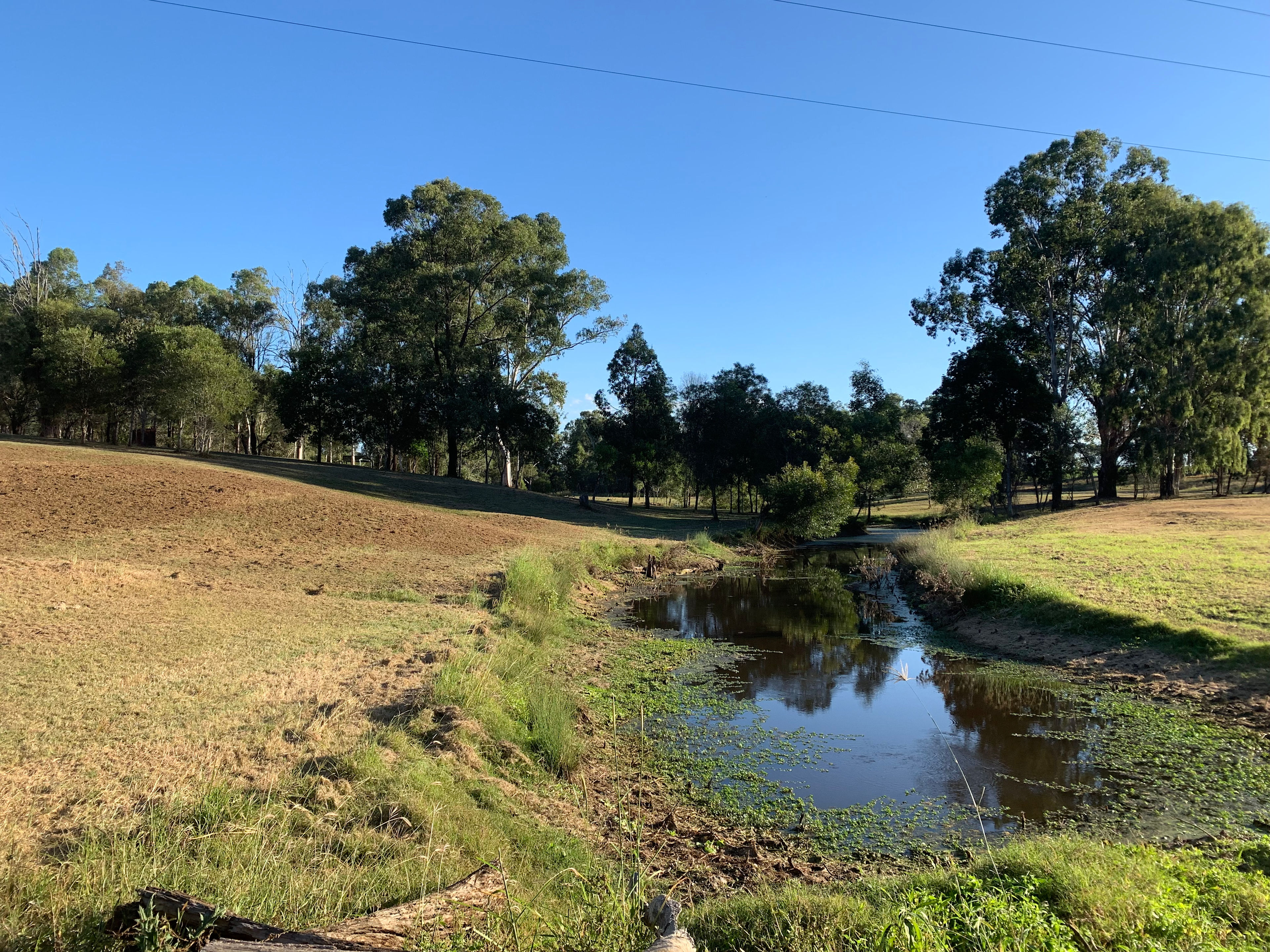 Haigslea Haven Bush Camp