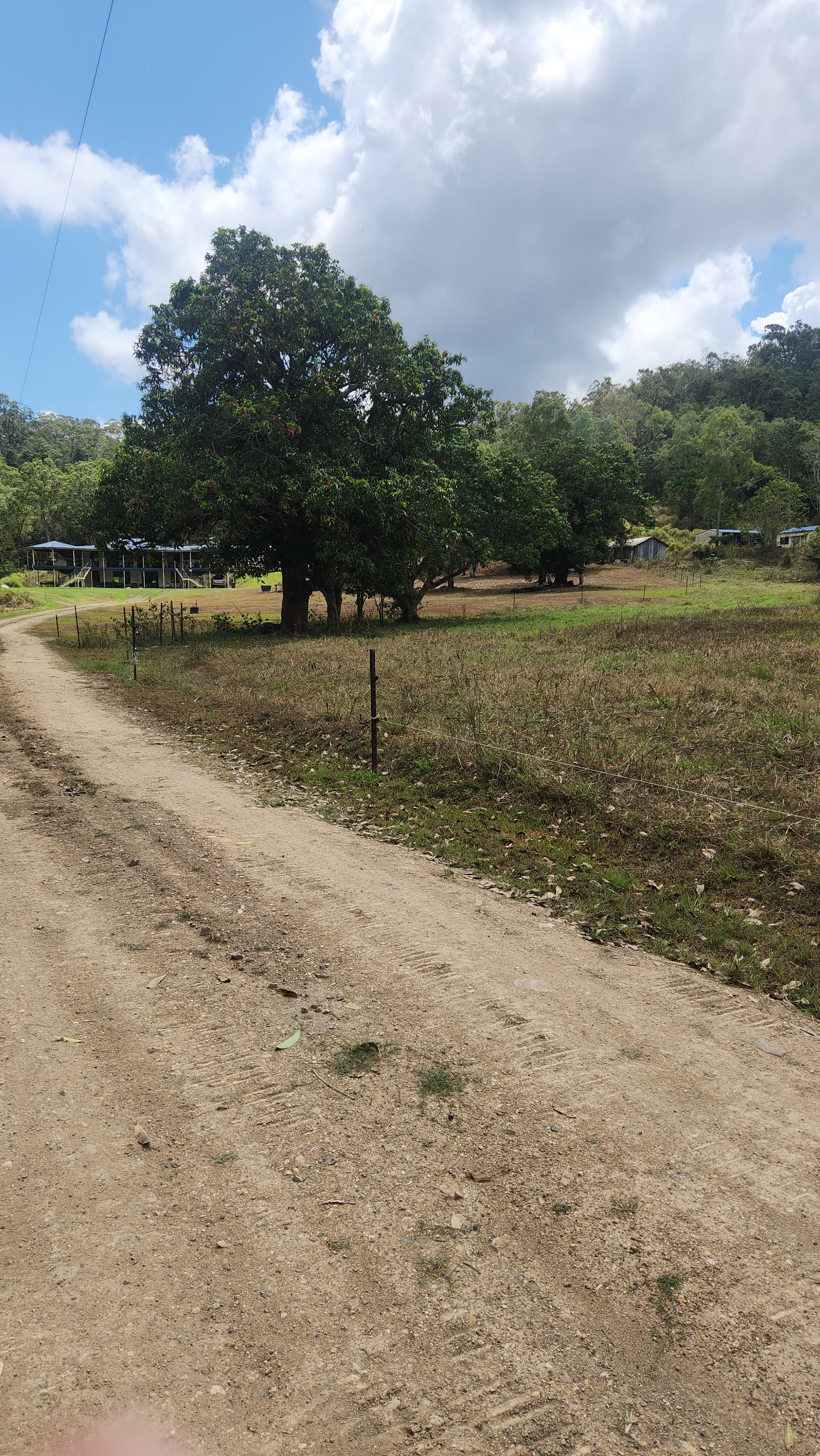 Front Yard Camping 🏕