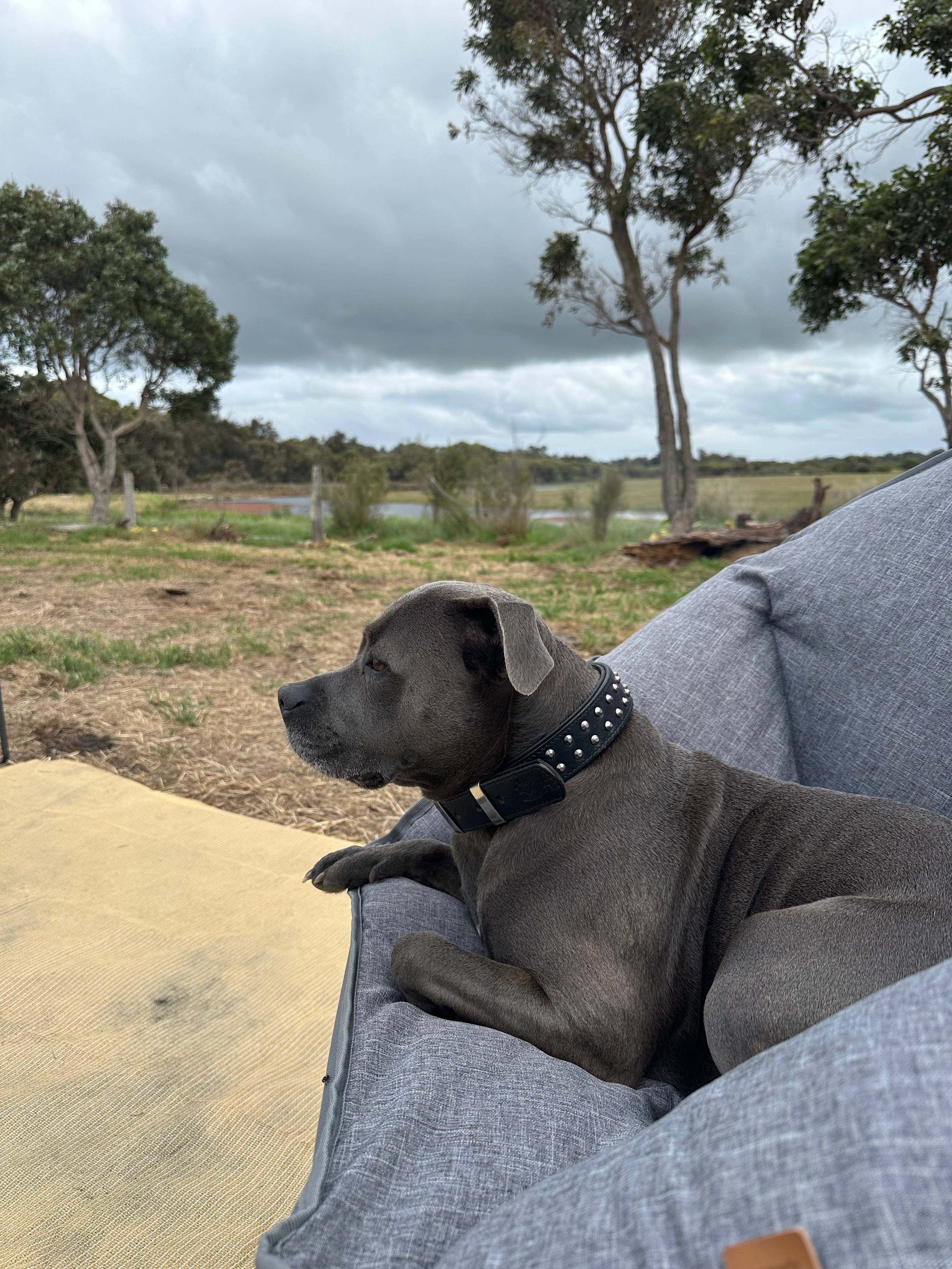 Herron Point Farm Stay