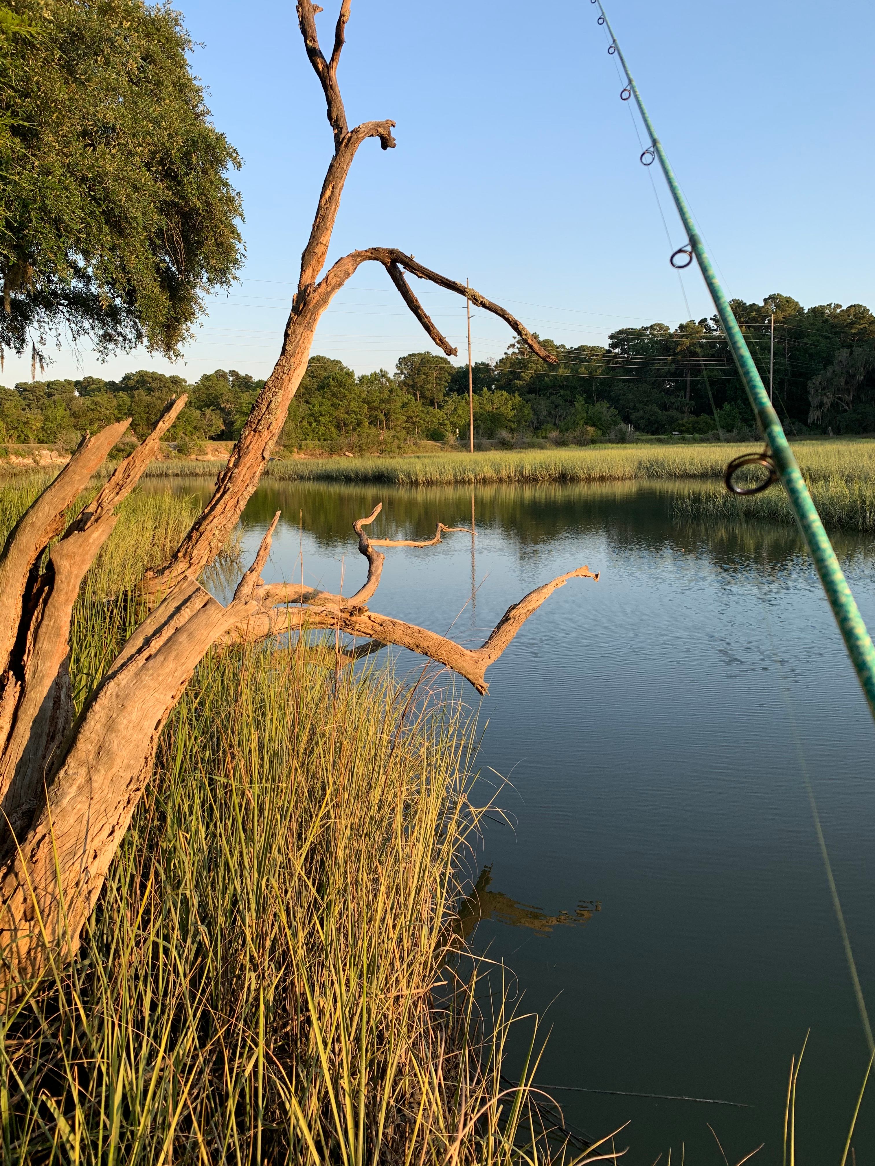 Private Campsite in Beaufort, SC!