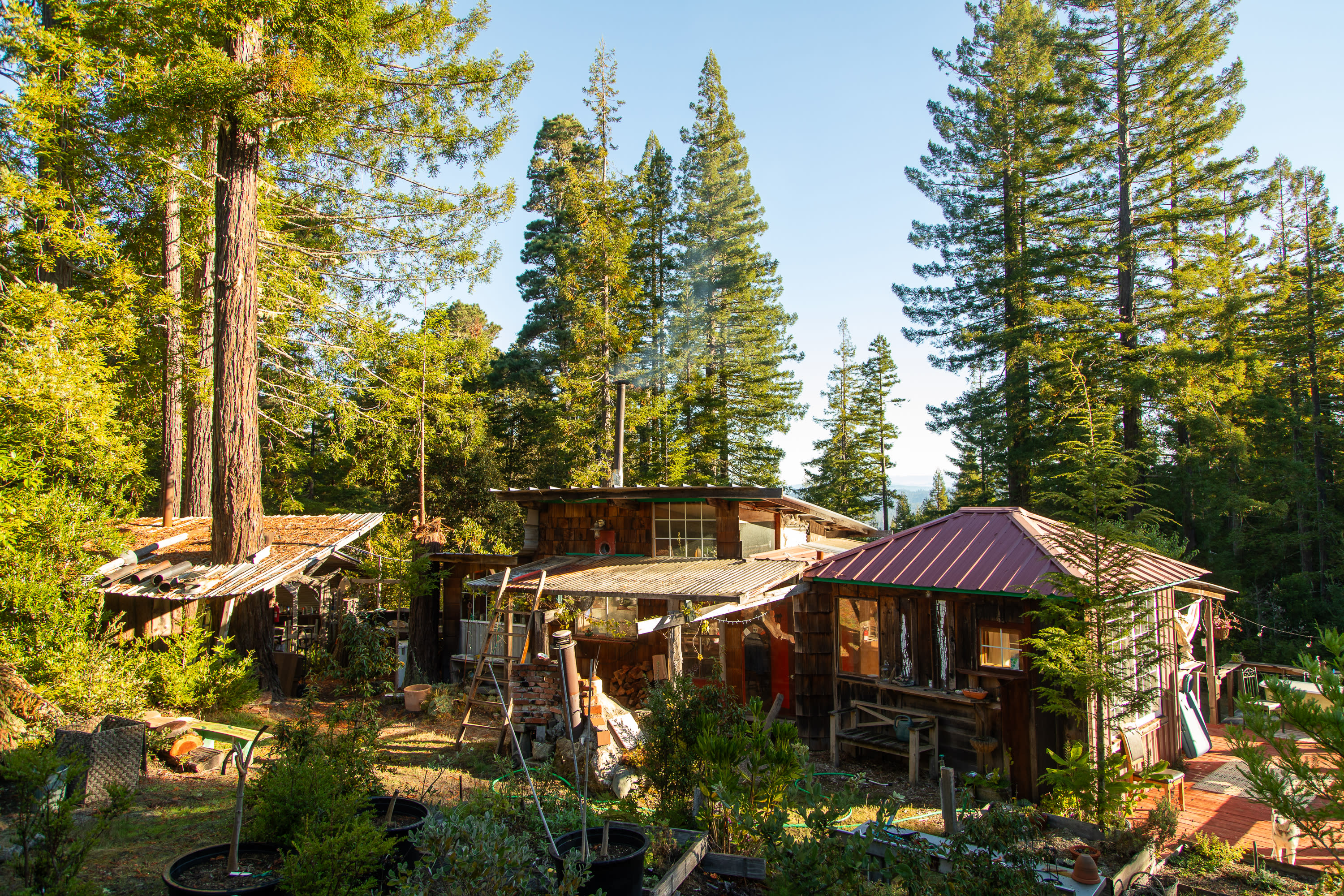 Beautiful views of the ridge