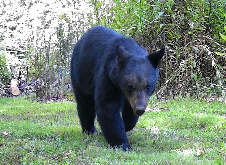 Motivate Humanity Retreat