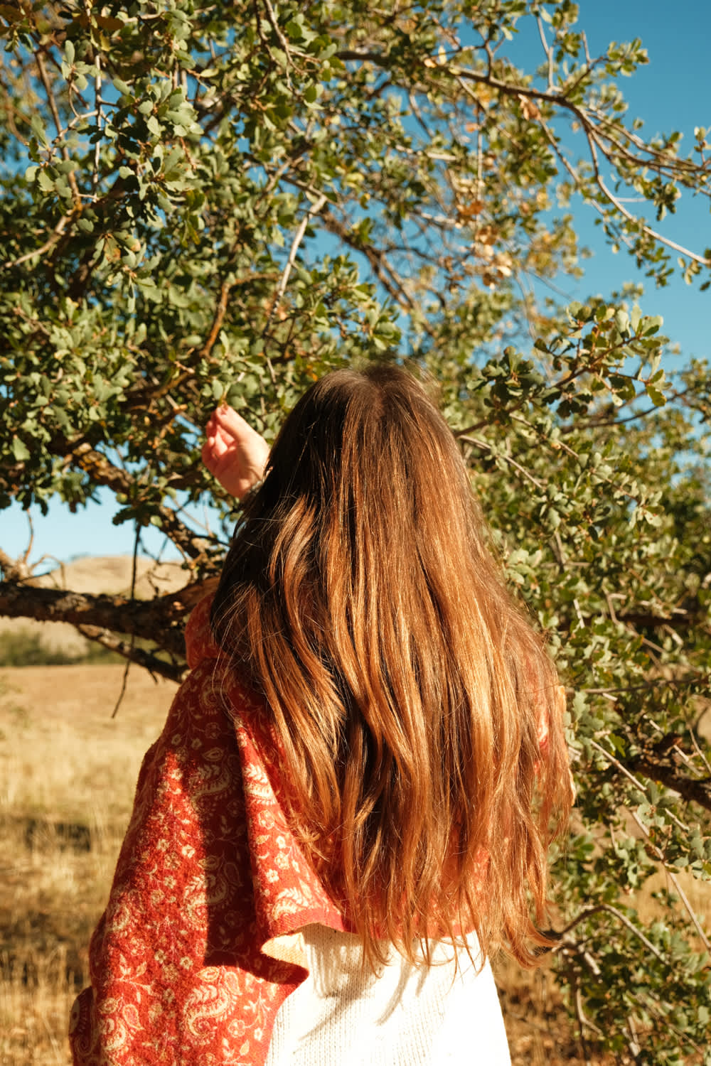 40min to Pinn/Song of the Ancients