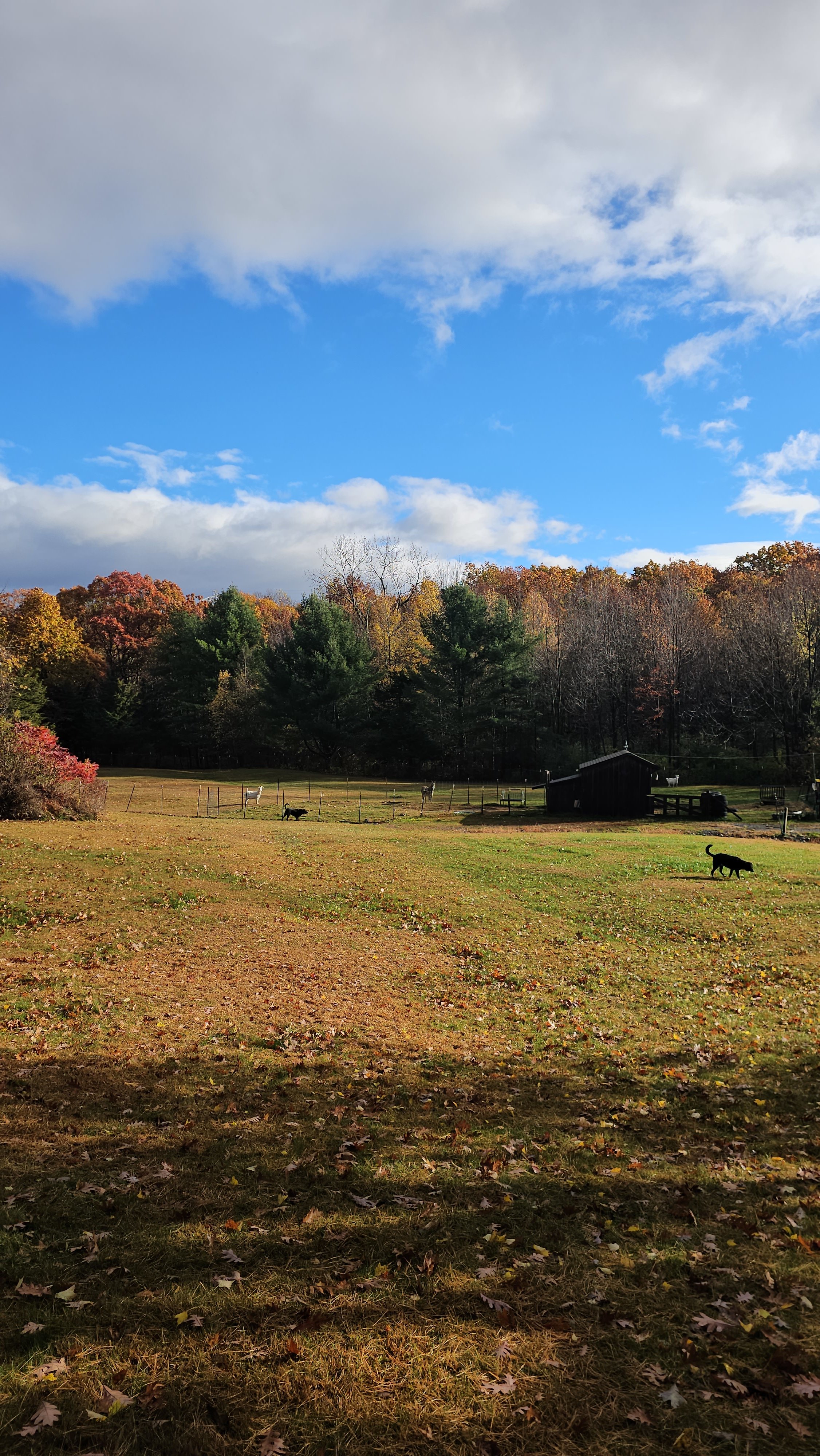 Rangers Respite Retreat