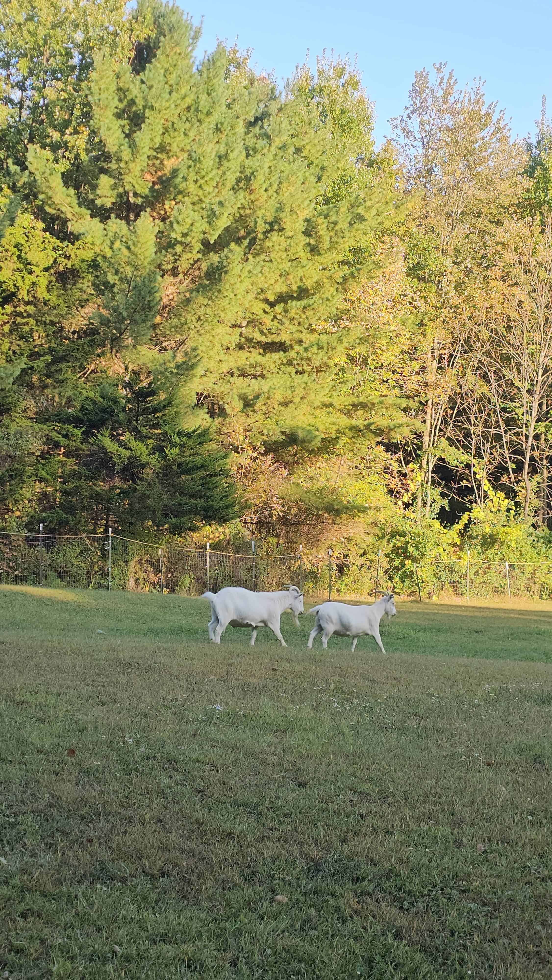 Rangers Respite Retreat