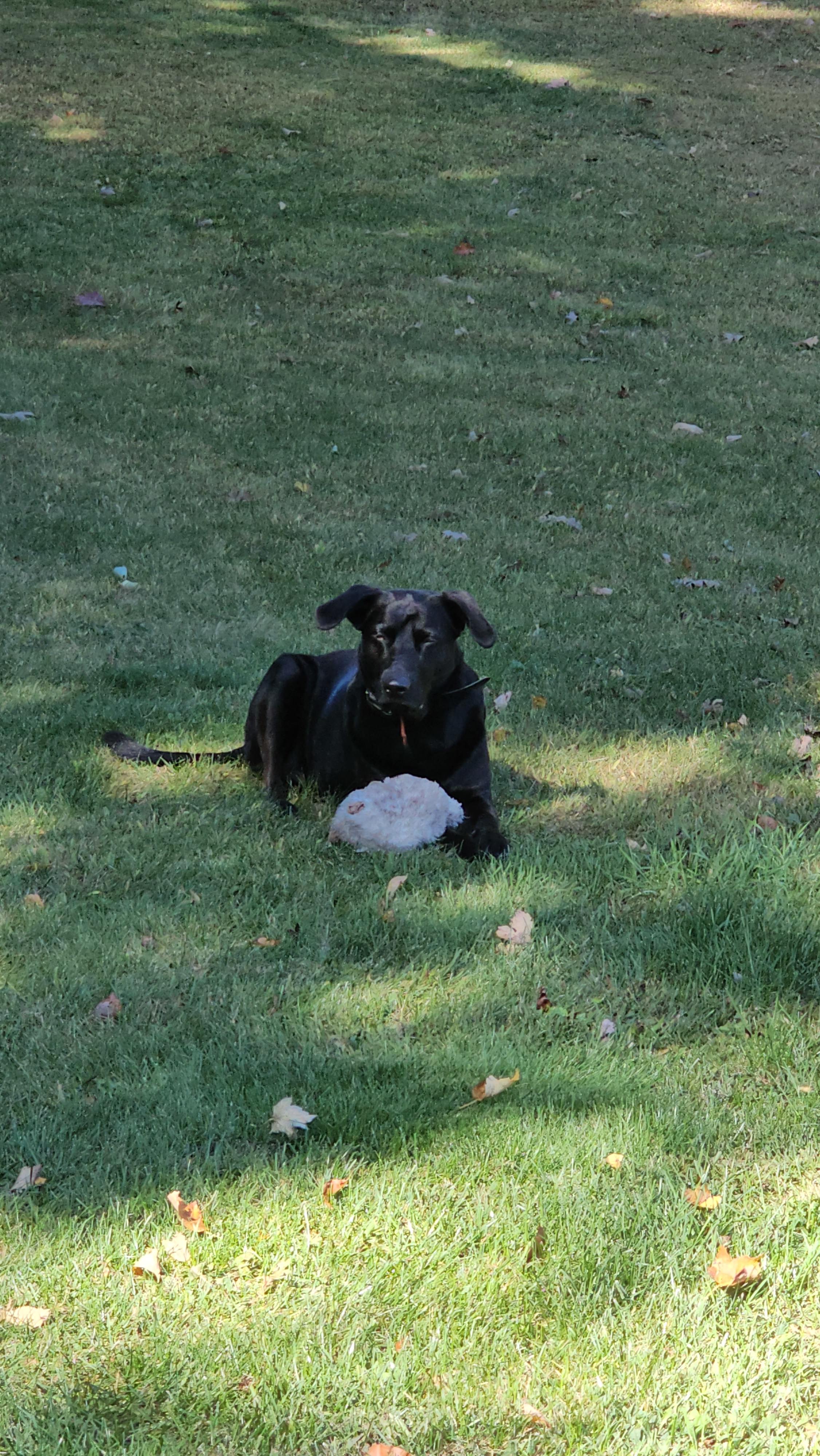 Rangers Respite Retreat