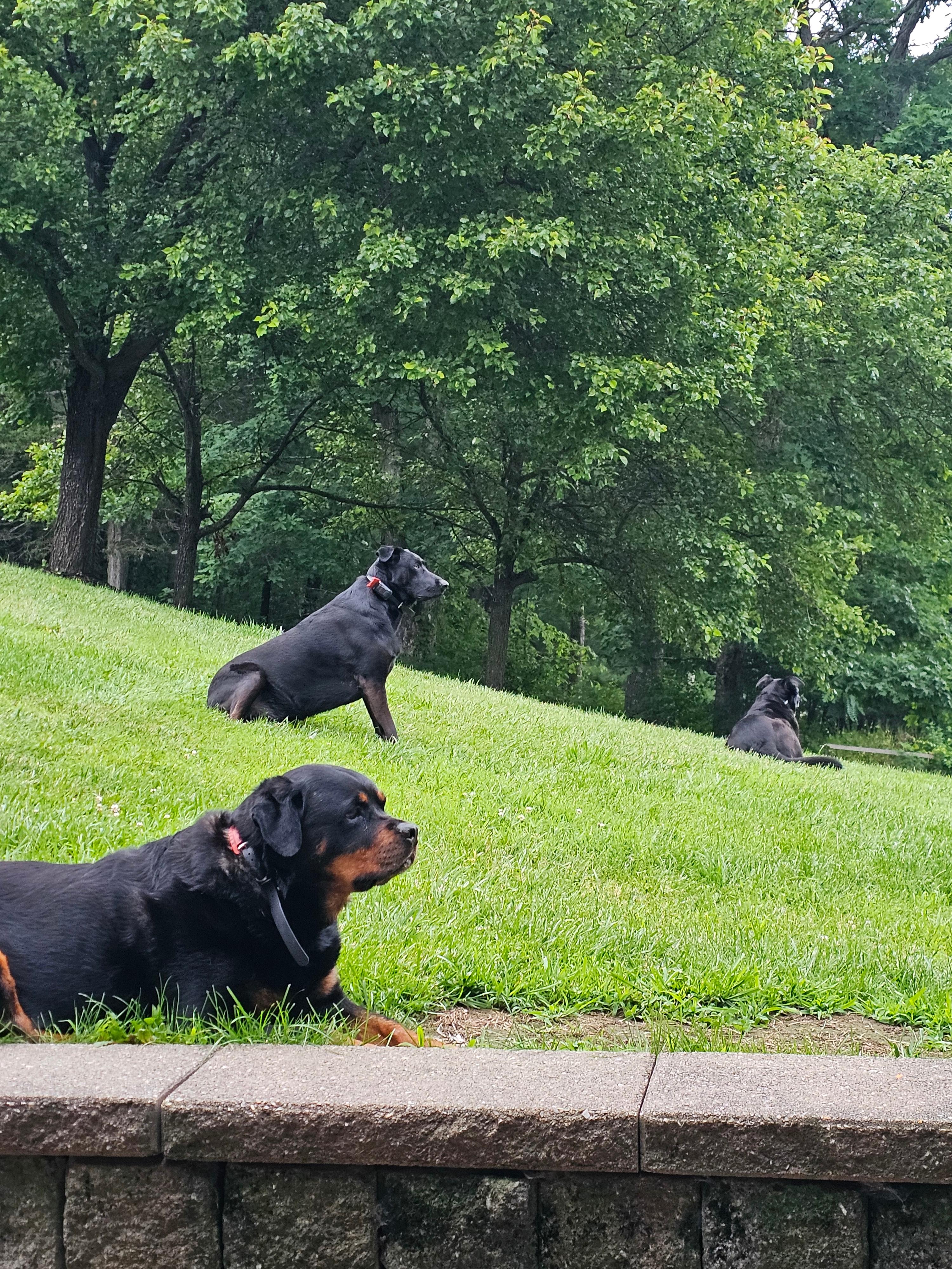 Rangers Respite Retreat