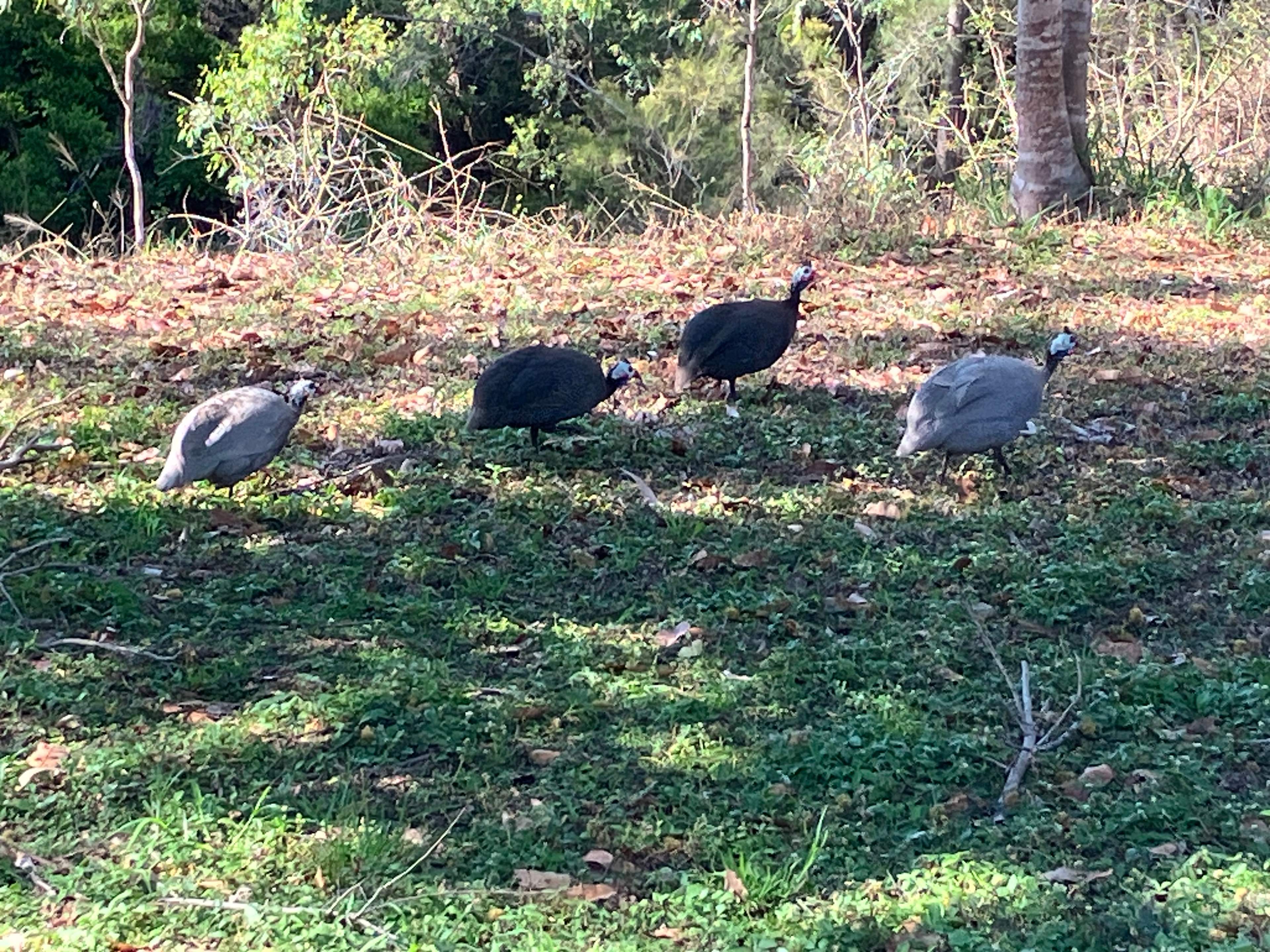 Archerview Farmstay-Wild River Camp