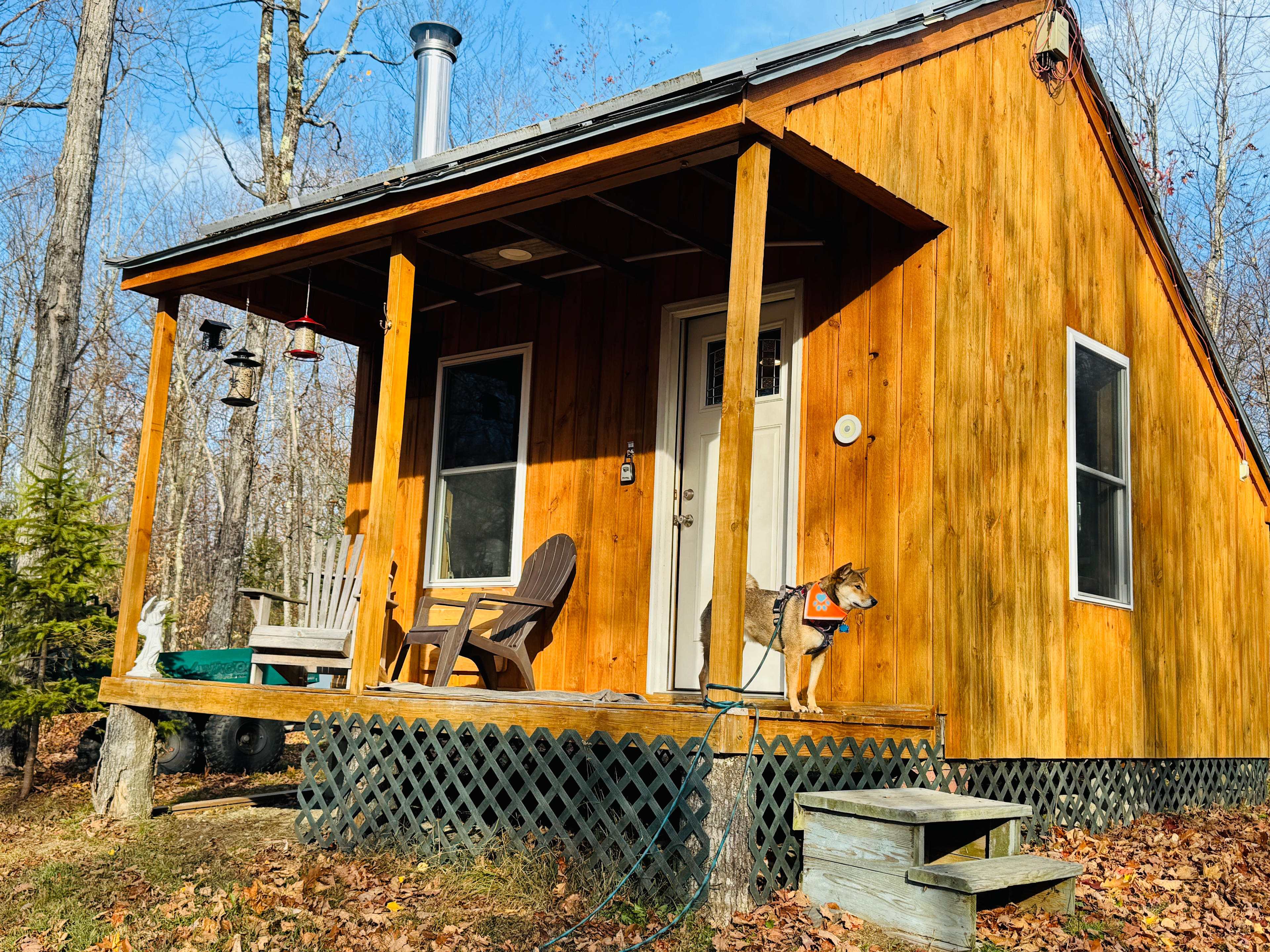 Trees of Life Retreat (ToLR)