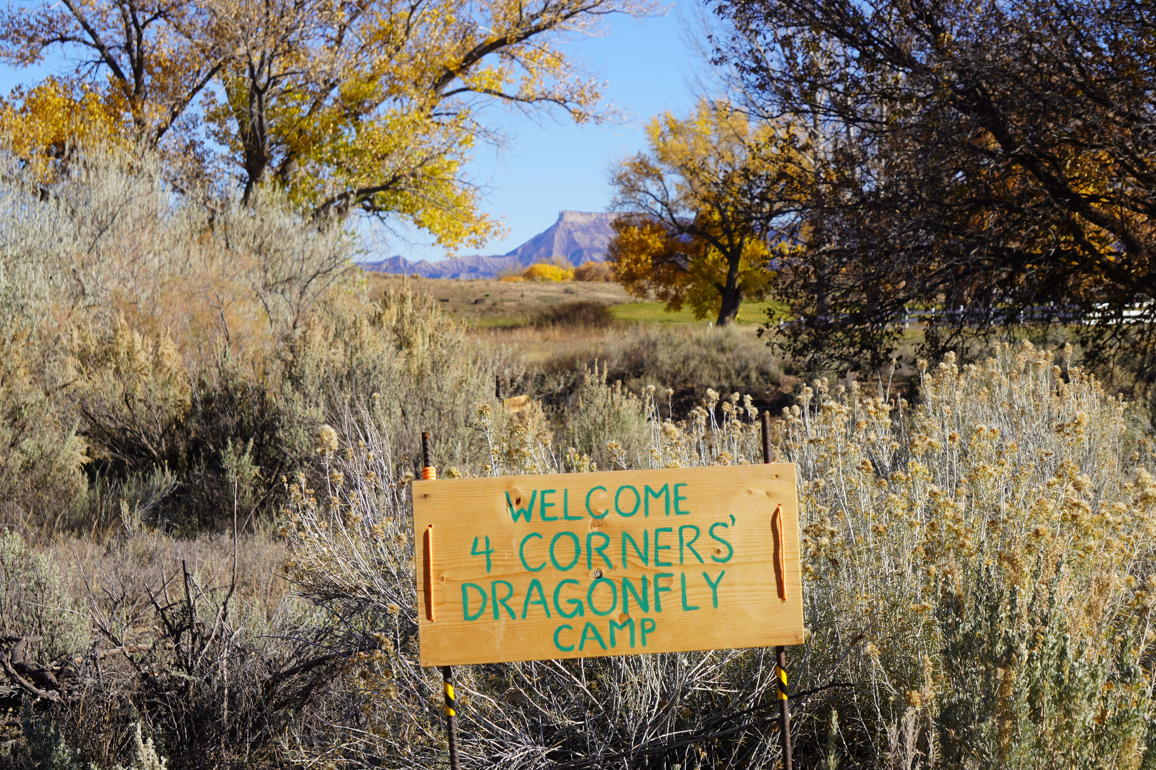 Four Corners' Dragonfly Camp