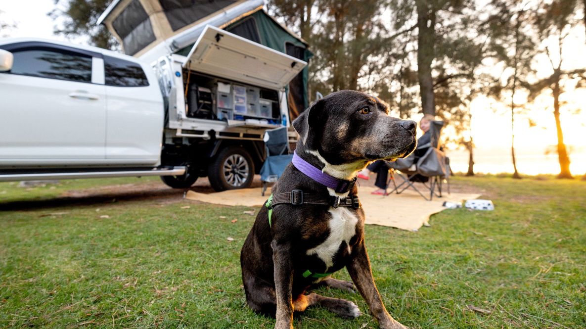 BIG4 Wallaga Lake Holiday Park