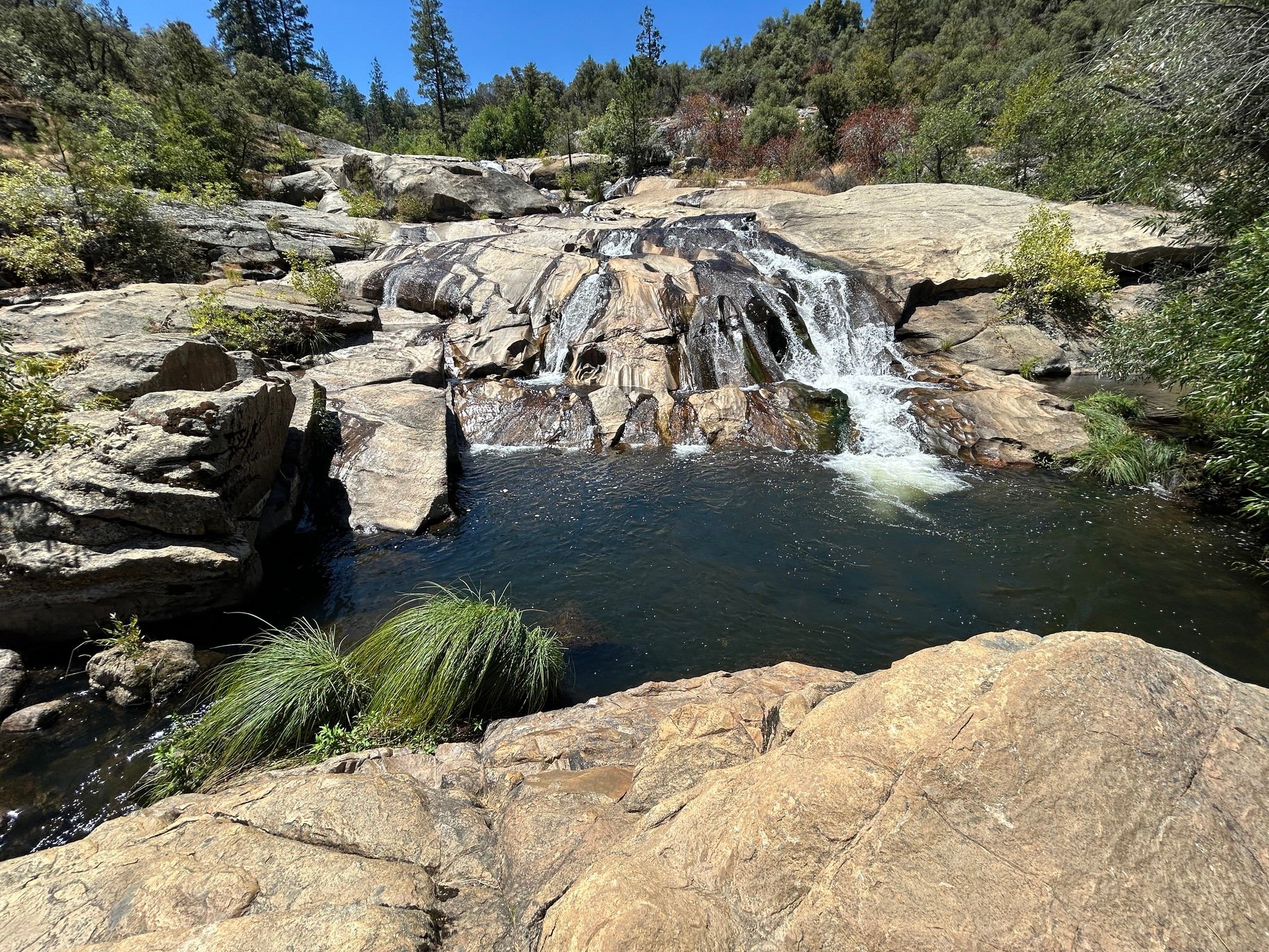 Cedar Springs Retreats