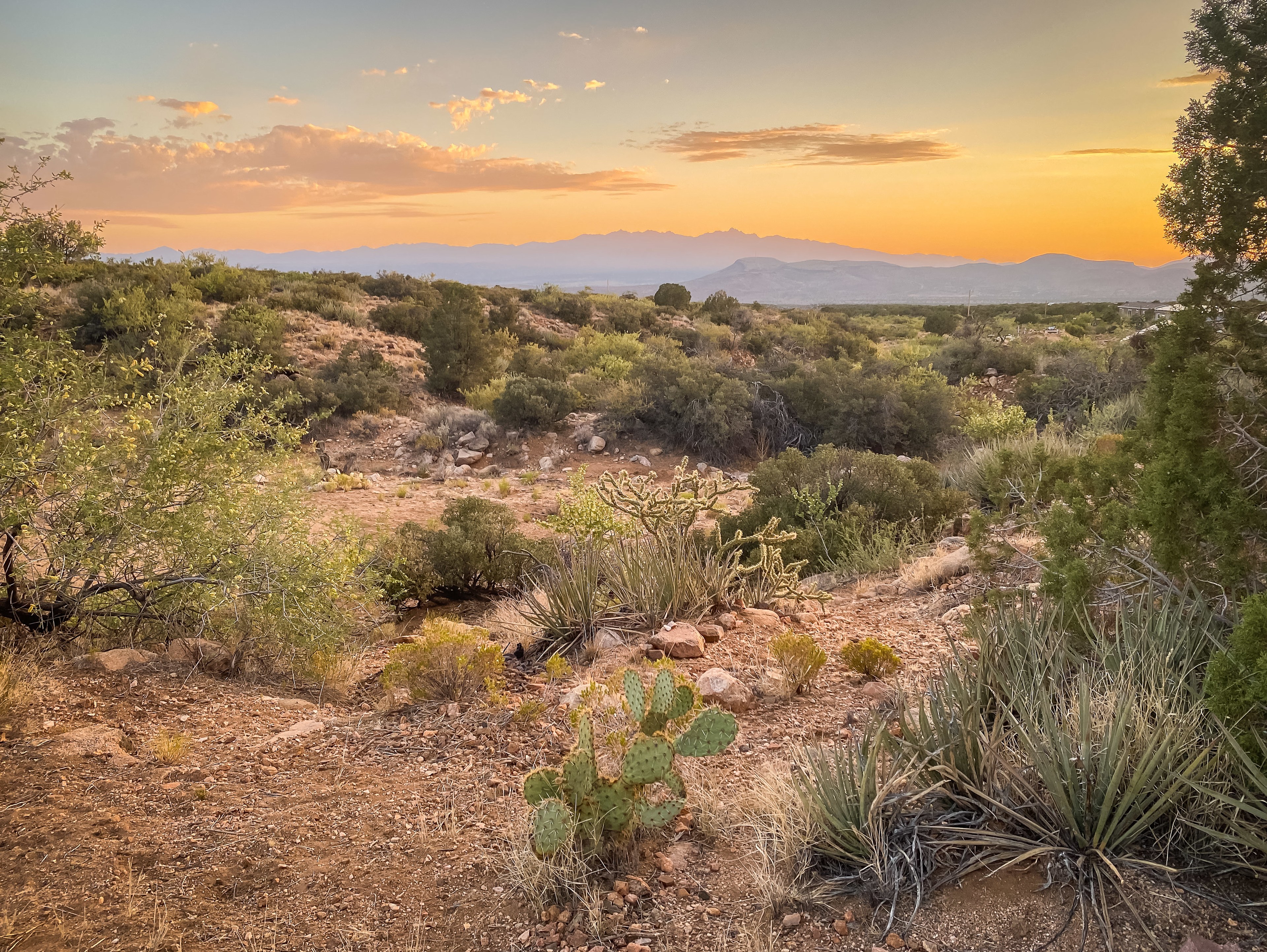 Arcadian American Farms
