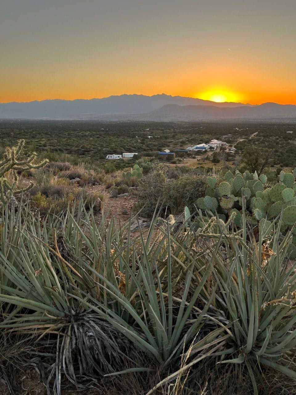 Arcadian American Farms
