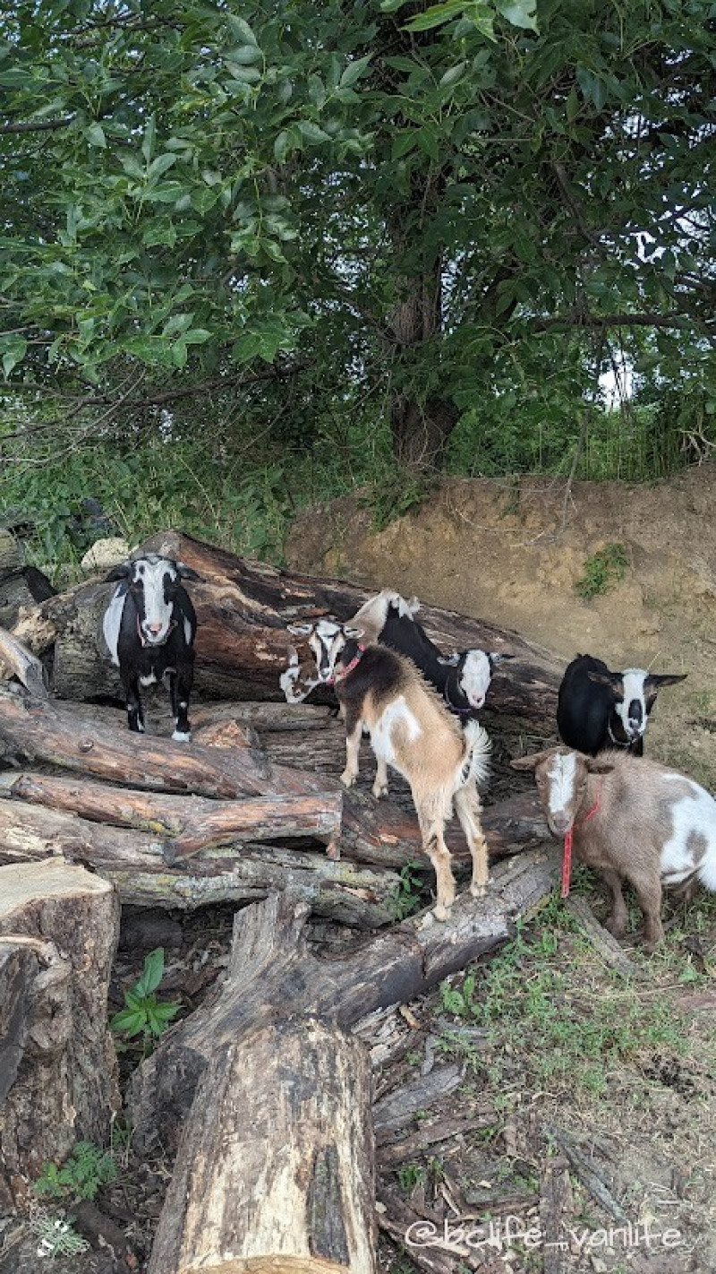 Charming Hobby Farm Retreat