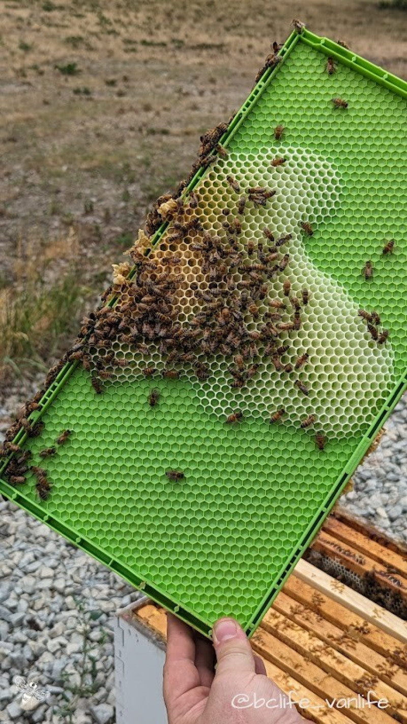 Charming Hobby Farm Retreat