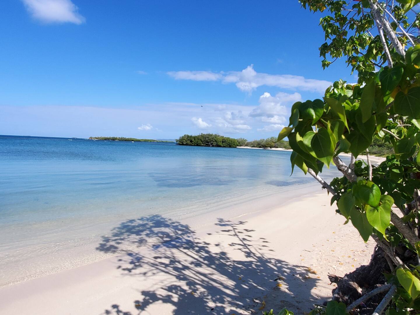 Steps to Playa Santa Pool Table BBQ & Pets Welcome