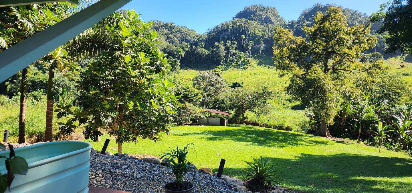 Nature Escape, Outdoor Cinema & River Adventure