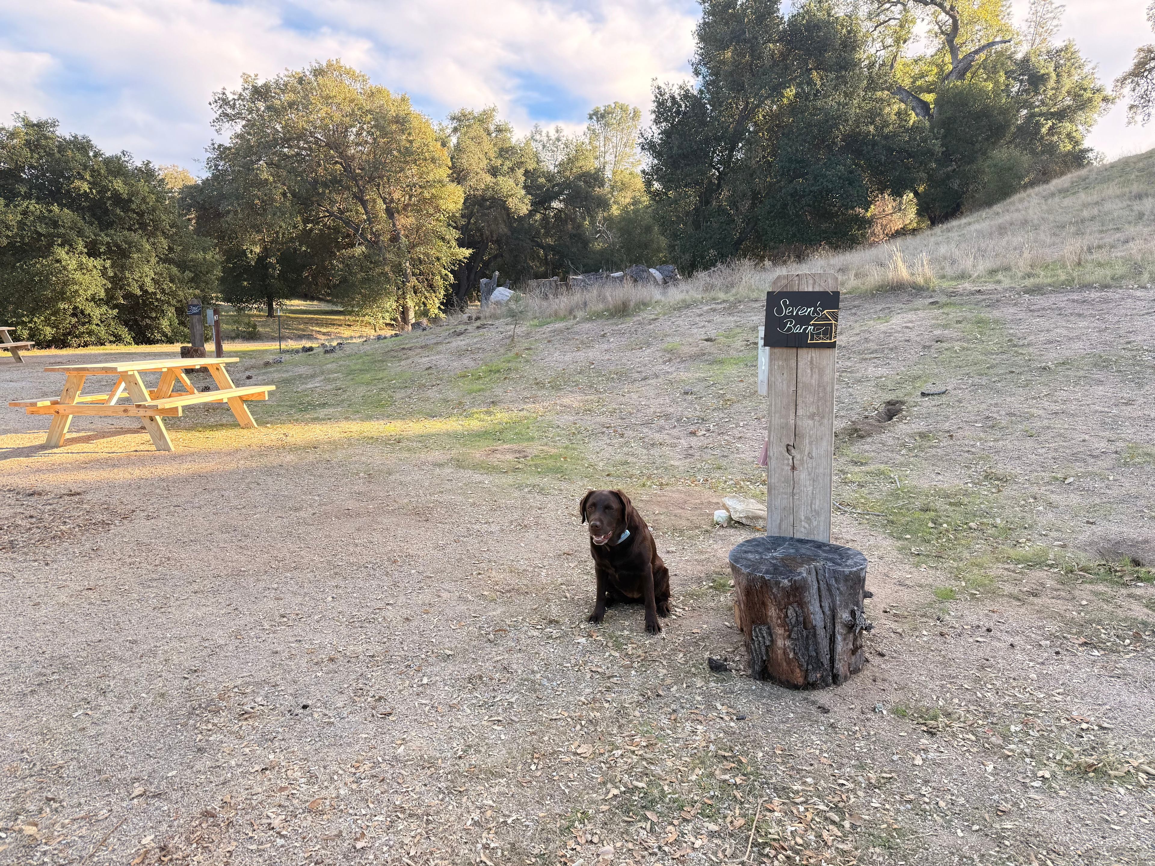 Seven’s Barn Site — named for our self-appointed ranch queen and professional watchdog (of squirrels, mostly).