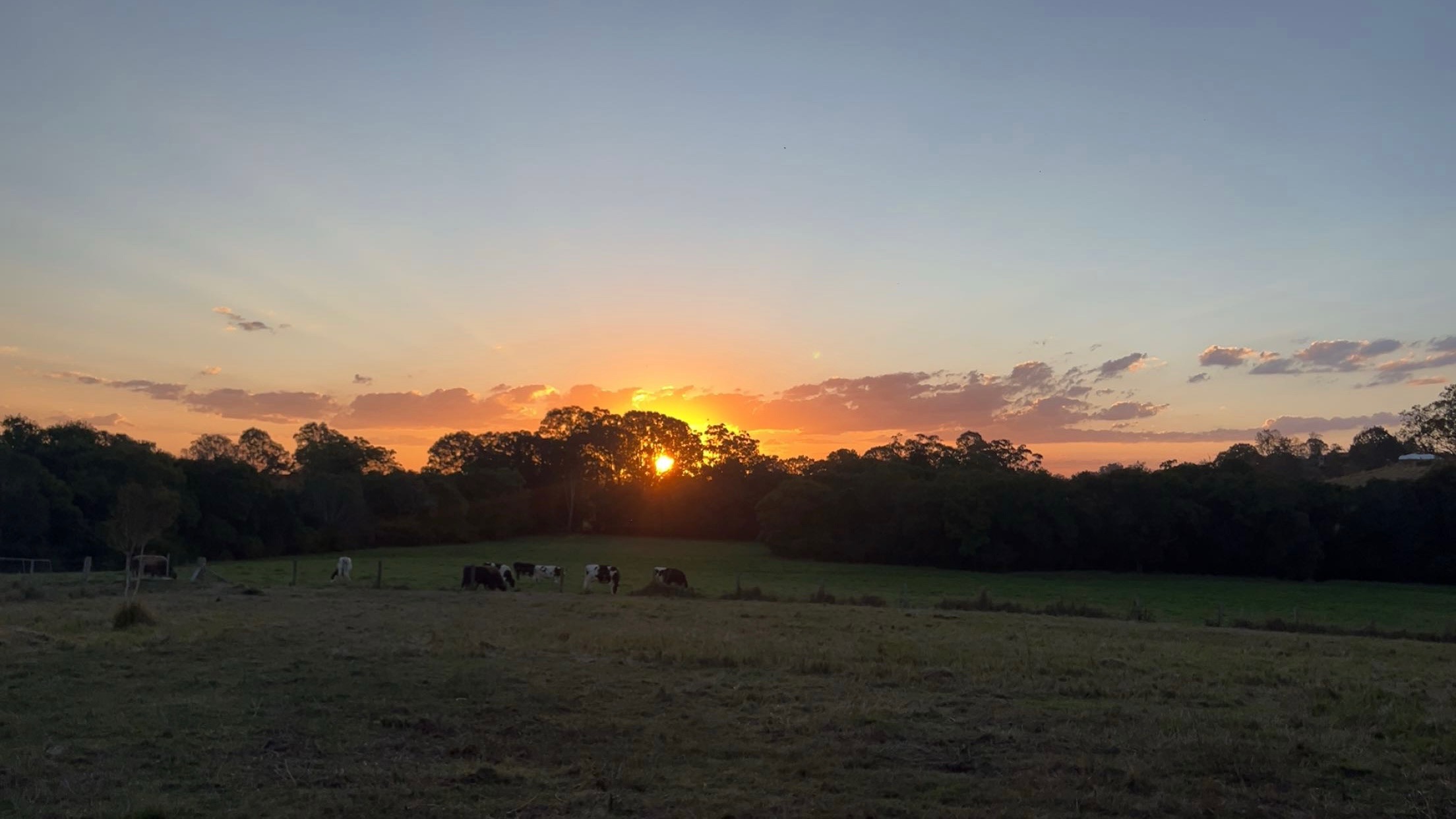 Greens Creek Country Stay