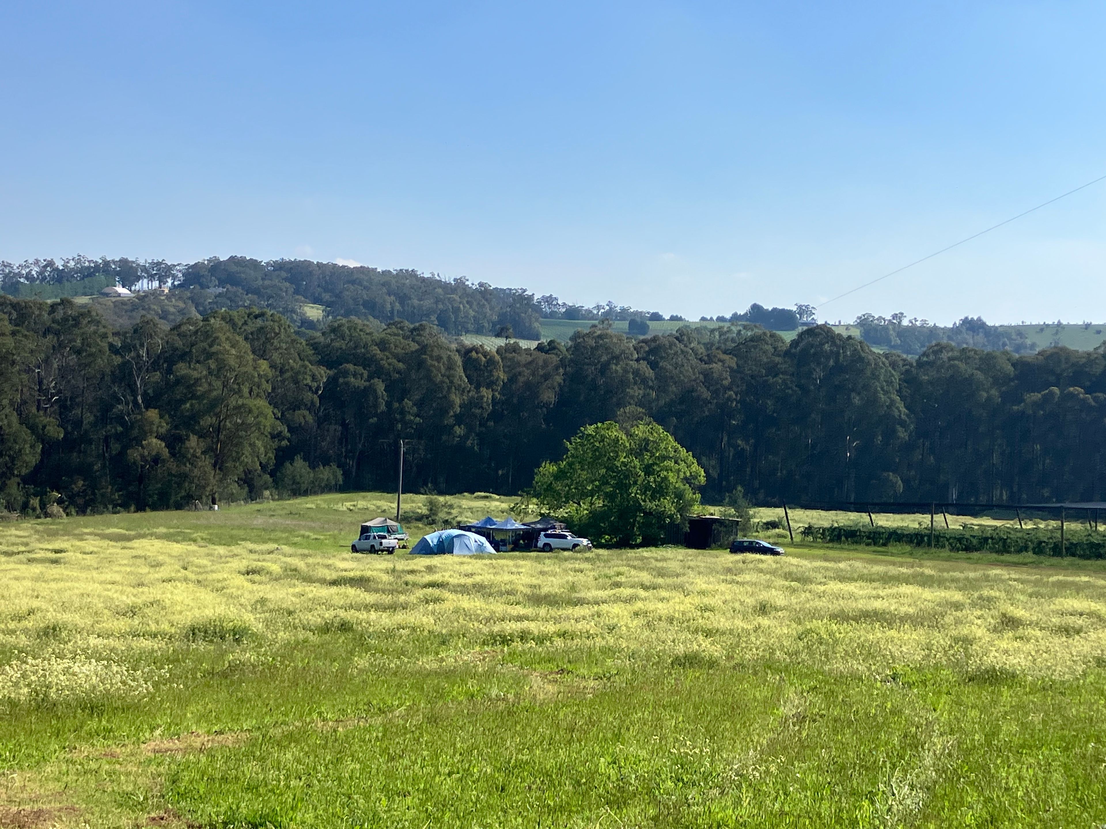 Nerrigundah Contrée Sauvage