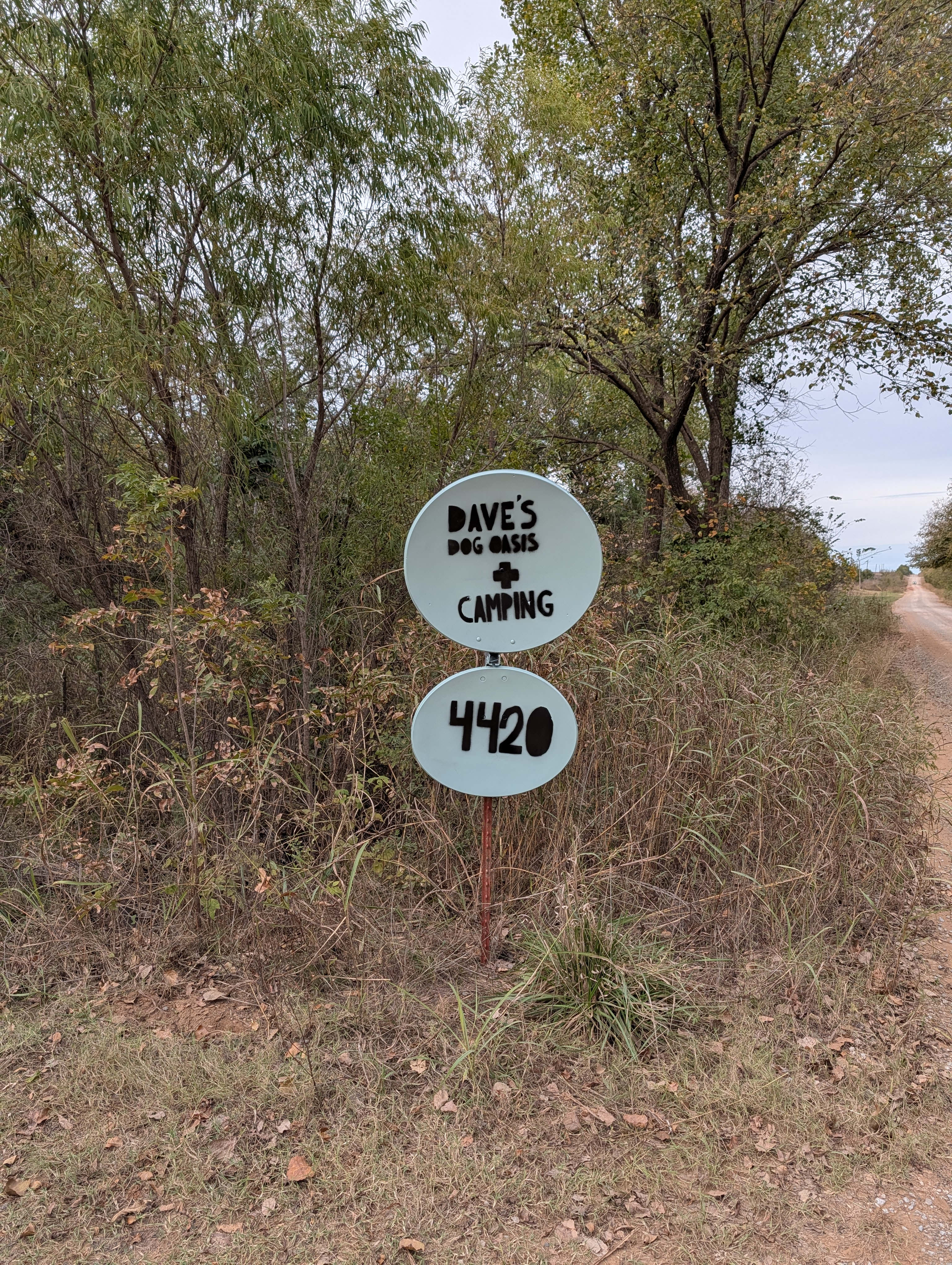 Dave's Dog Oasis And Campground