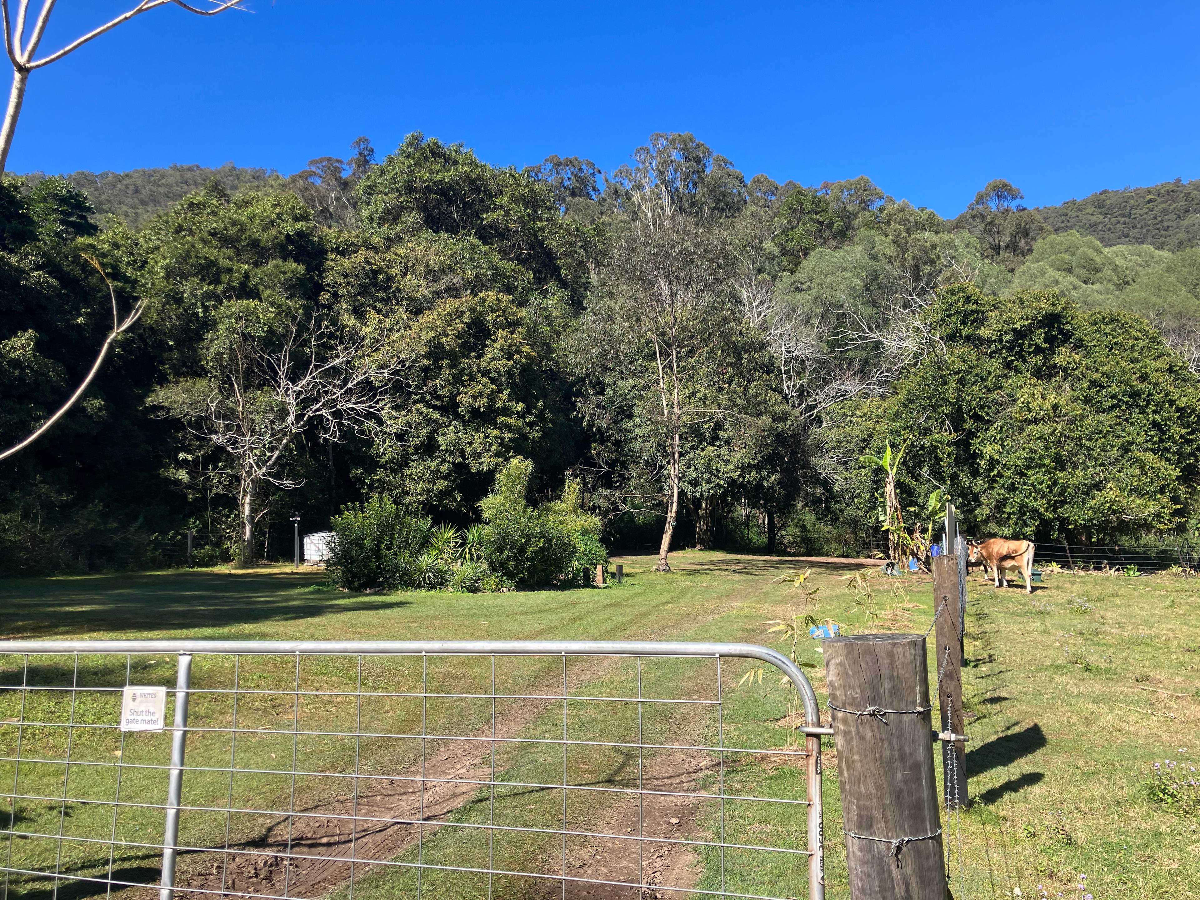 How’s the serenity camp spot