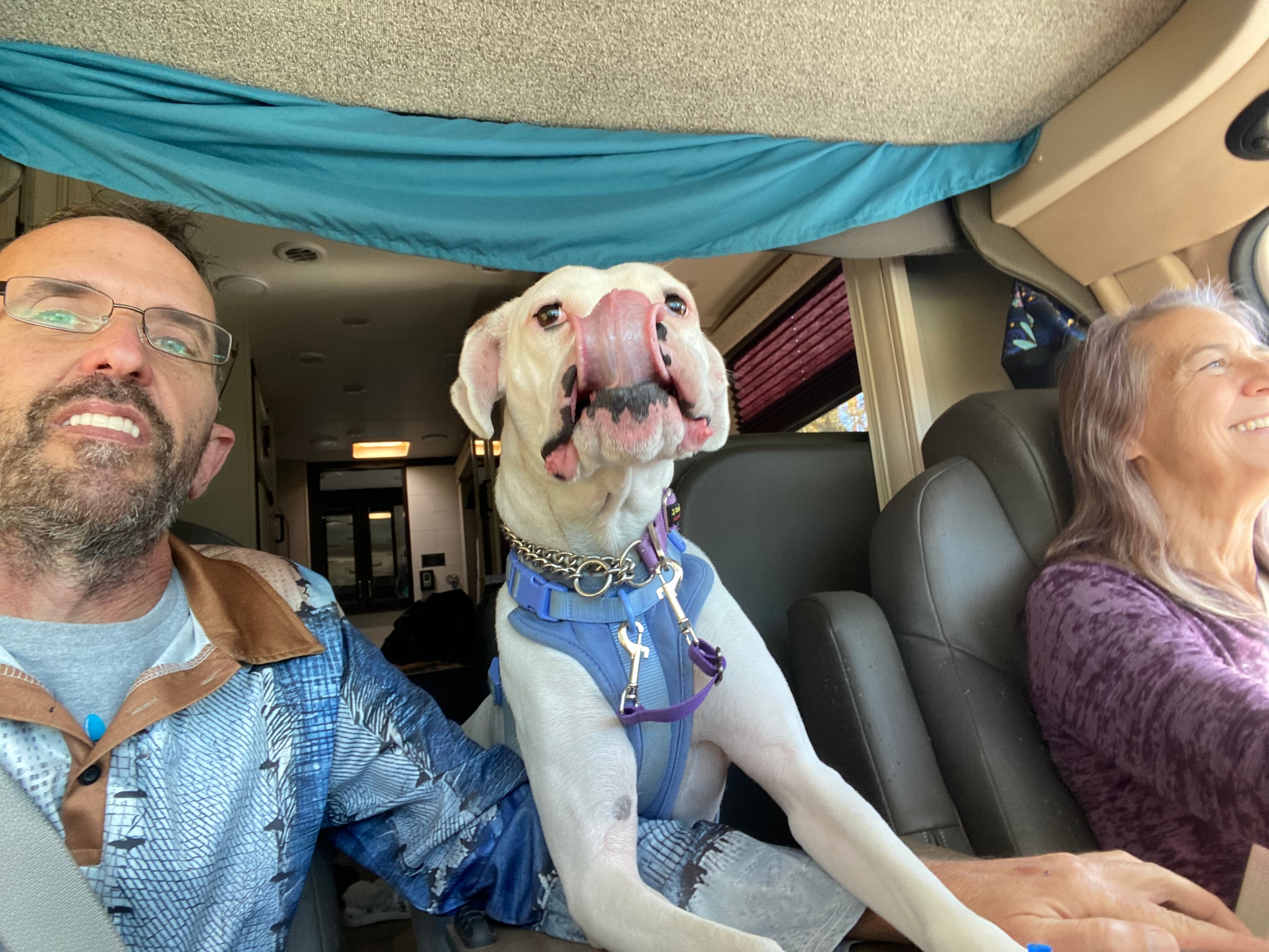 Horse Ranch-a short drive from 95