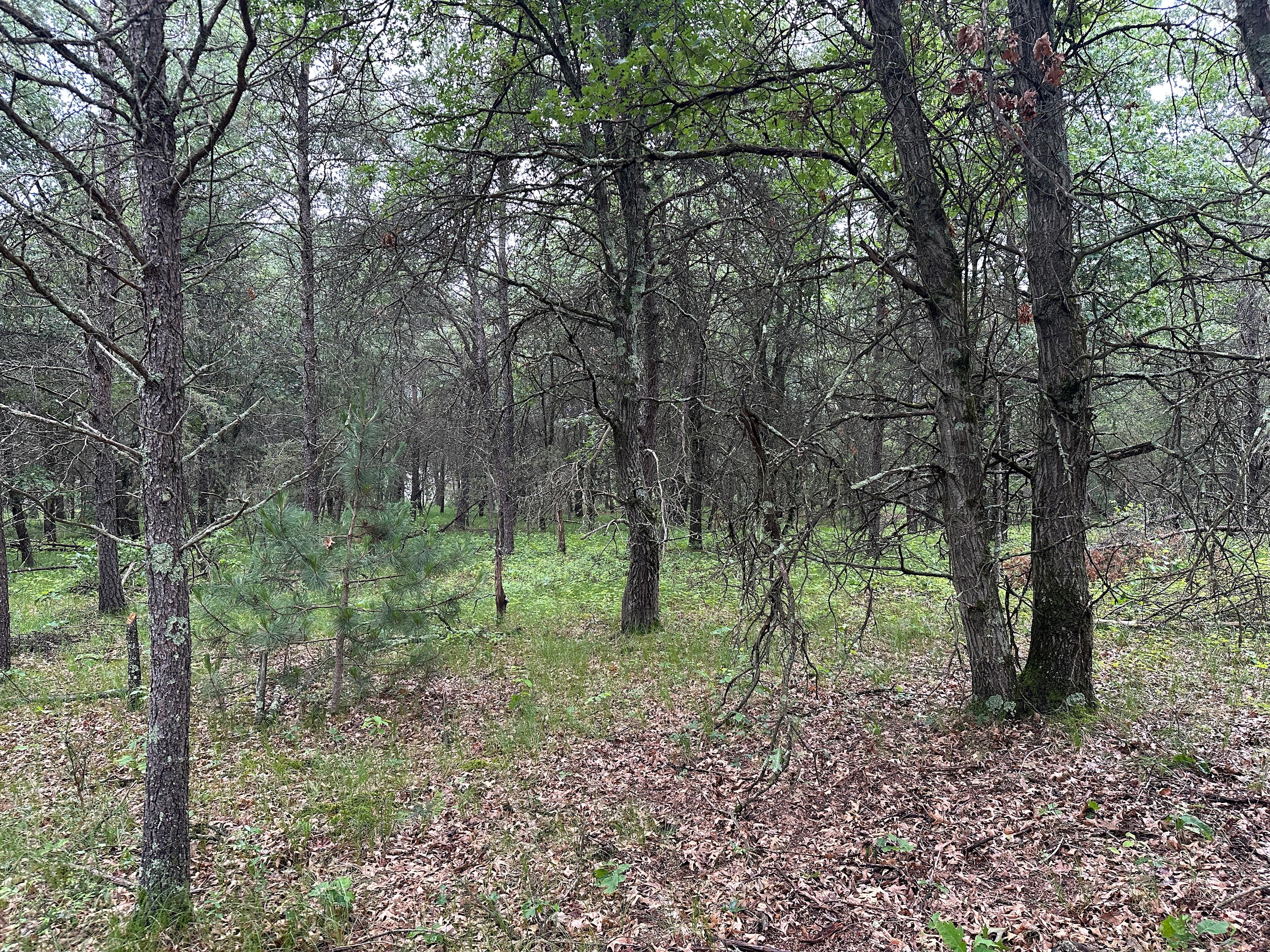 Red Stone River Retreat