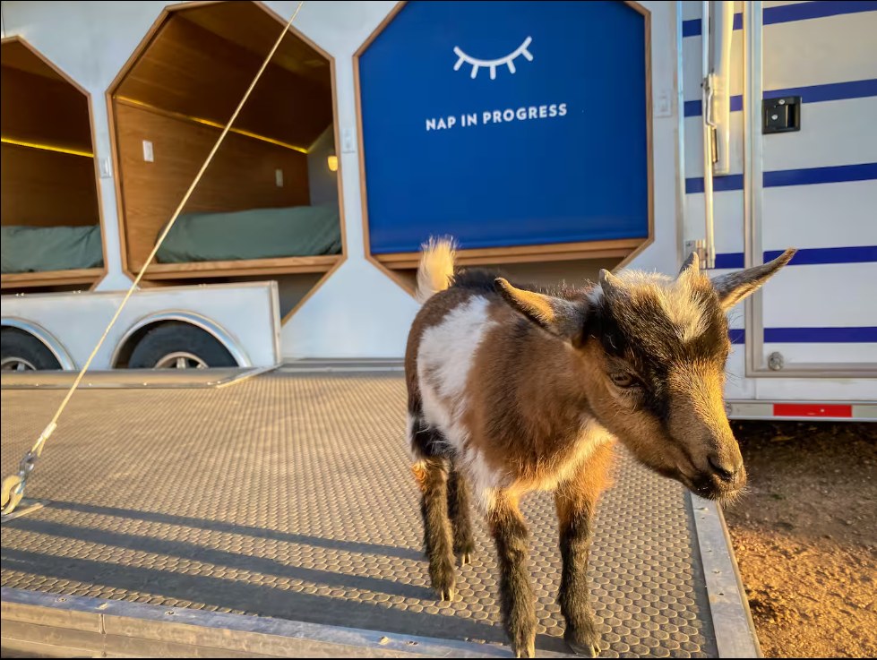 Arcadian American Farms