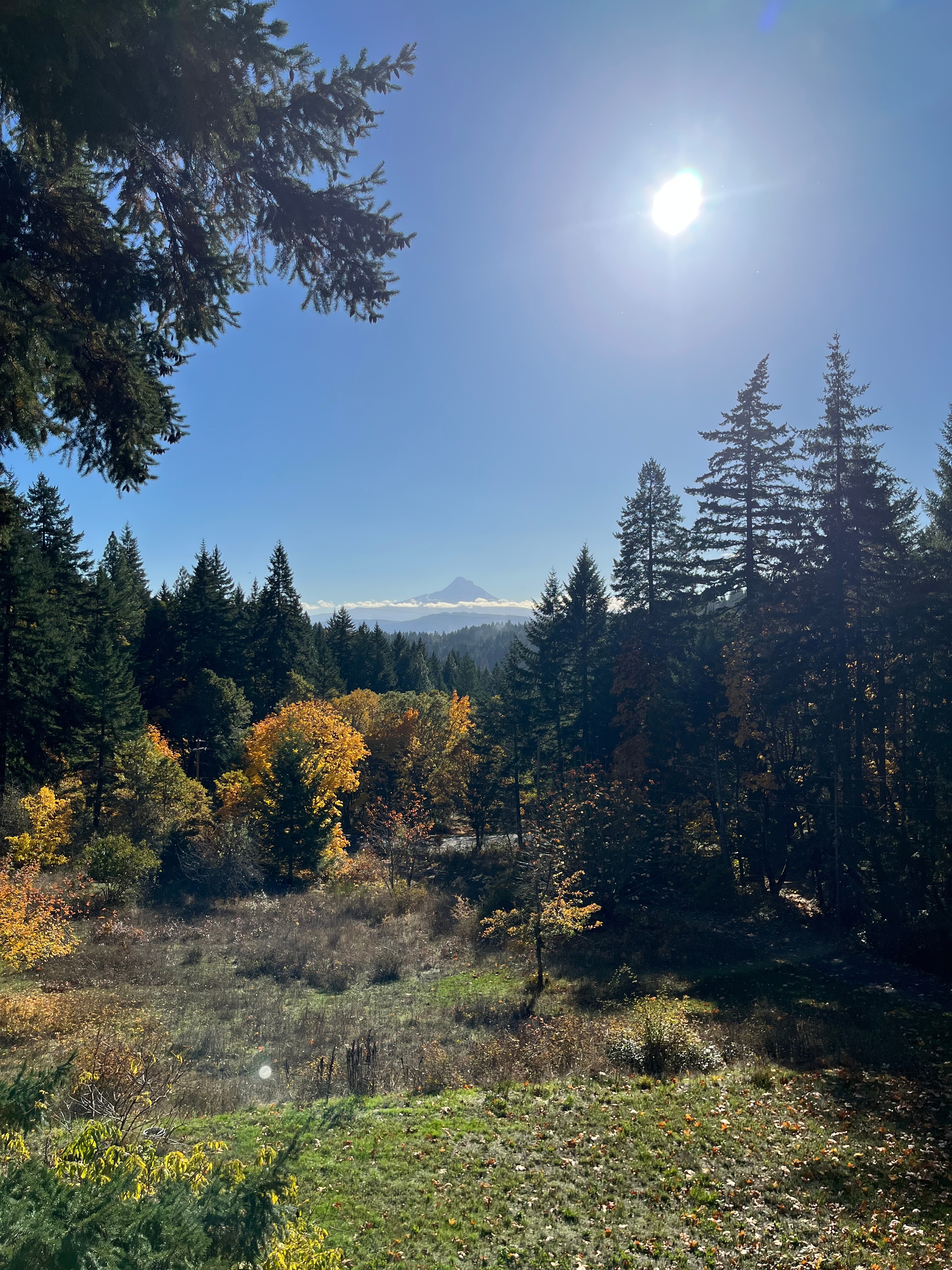 White Salmon Wonderland