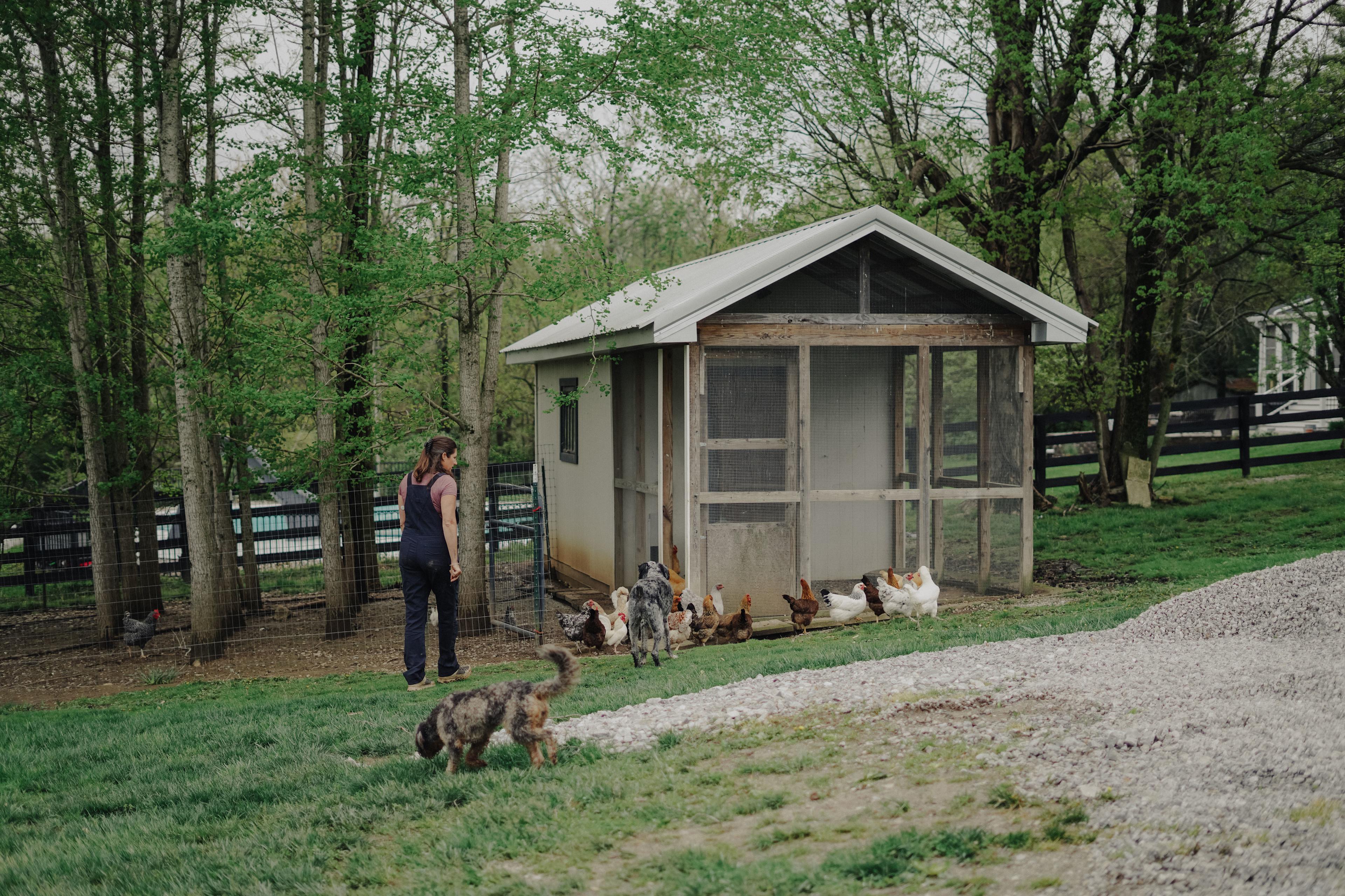 The Farm at Grace Hill