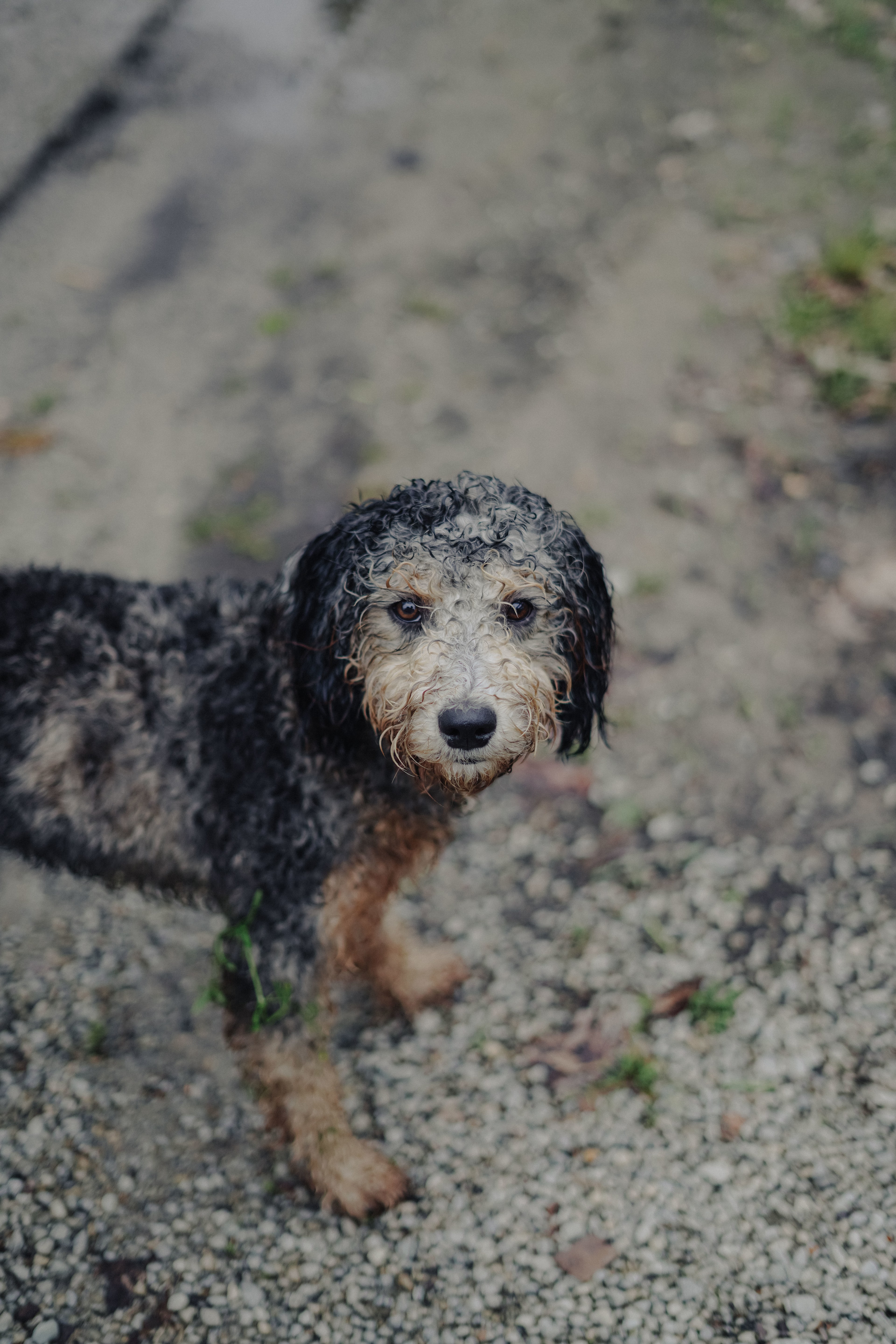 The Farm at Grace Hill