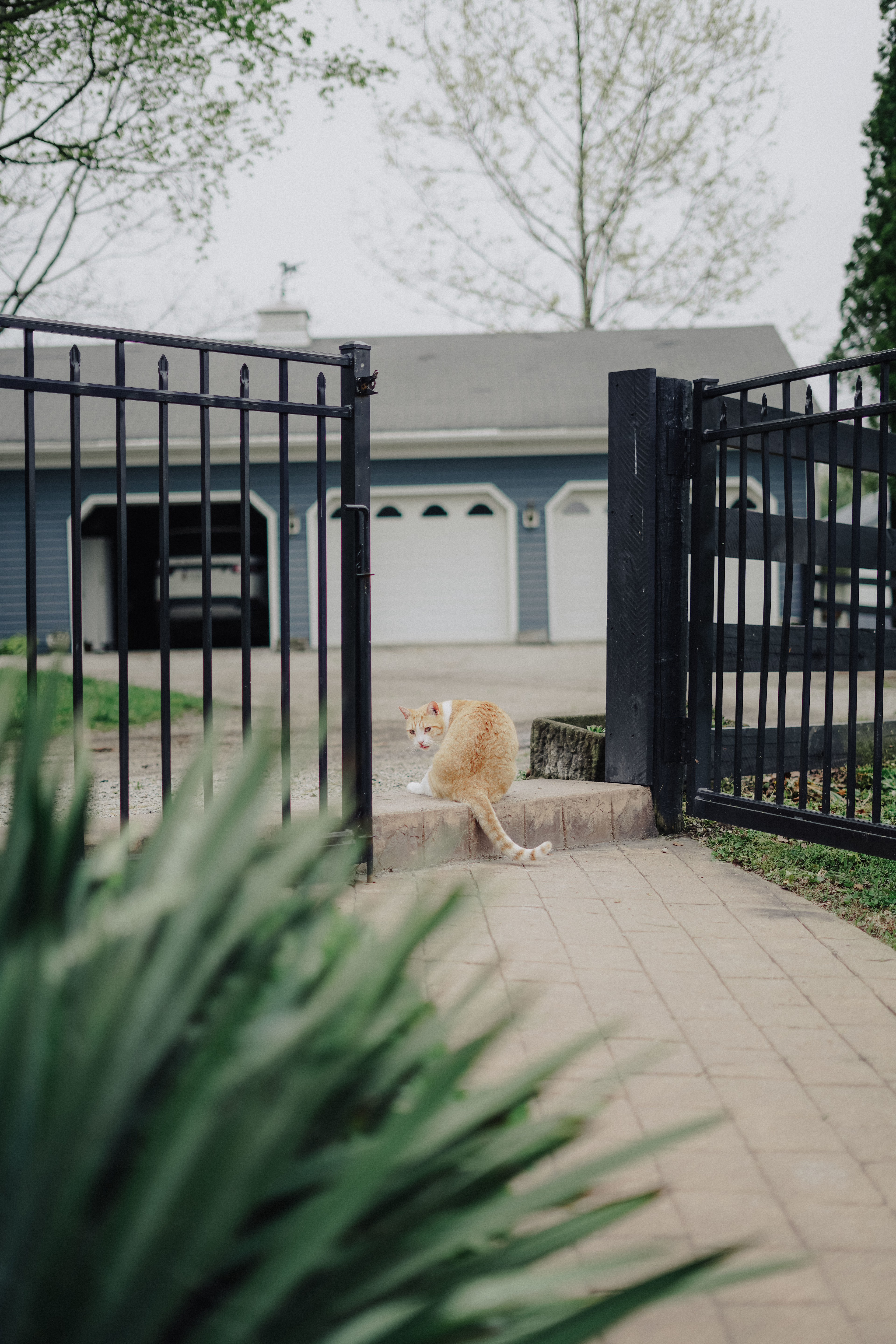 The Farm at Grace Hill
