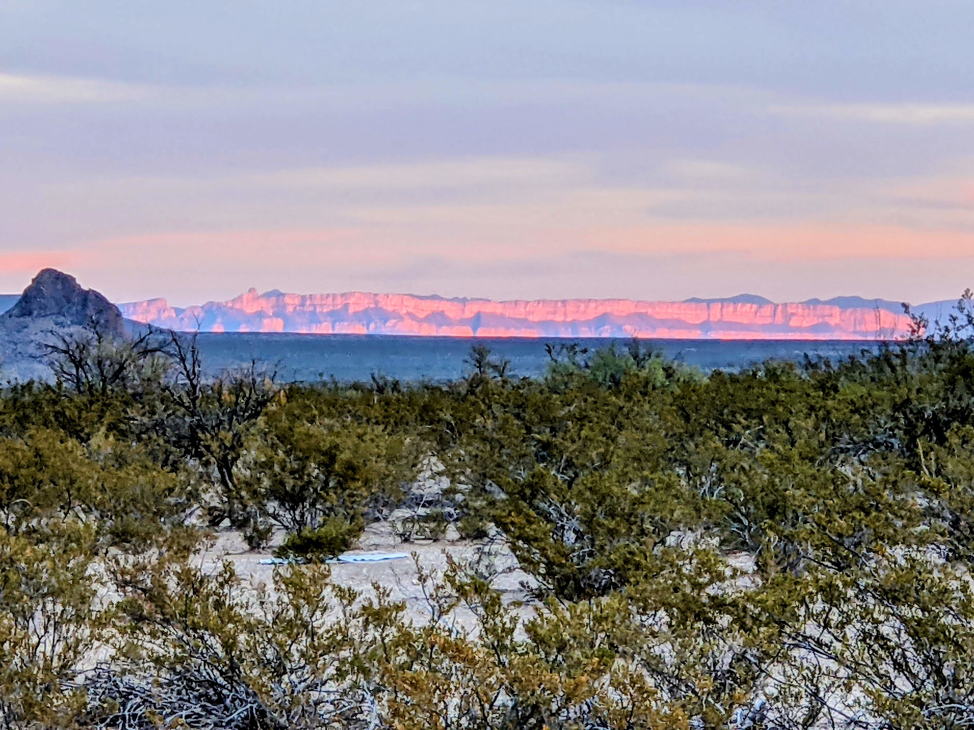 Peaceful Wild Beauty