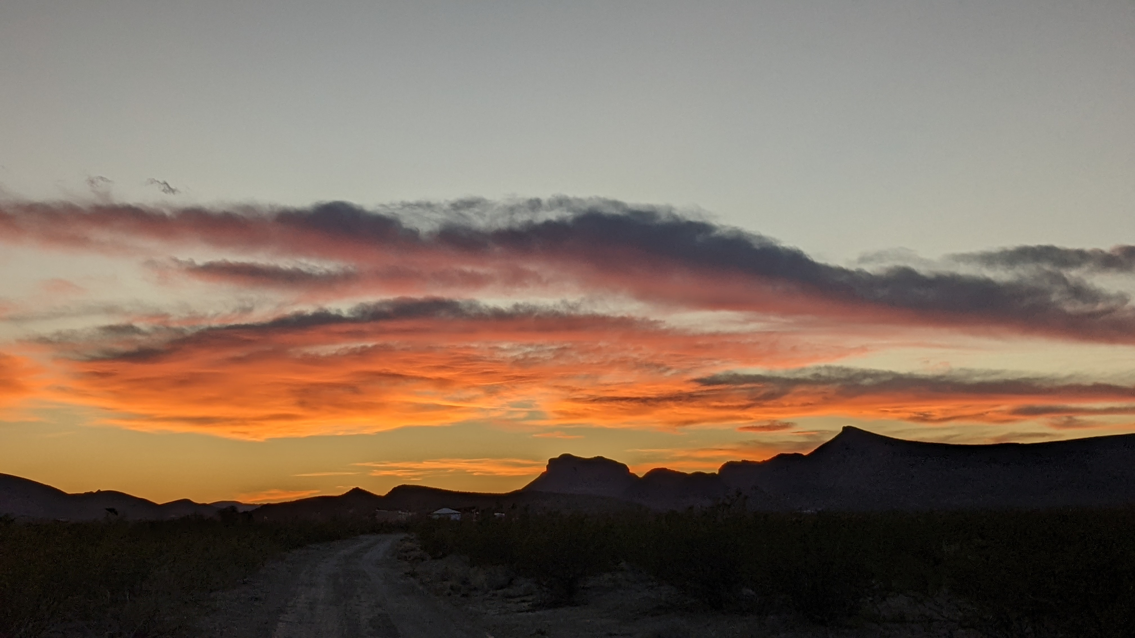 Peaceful Wild Beauty