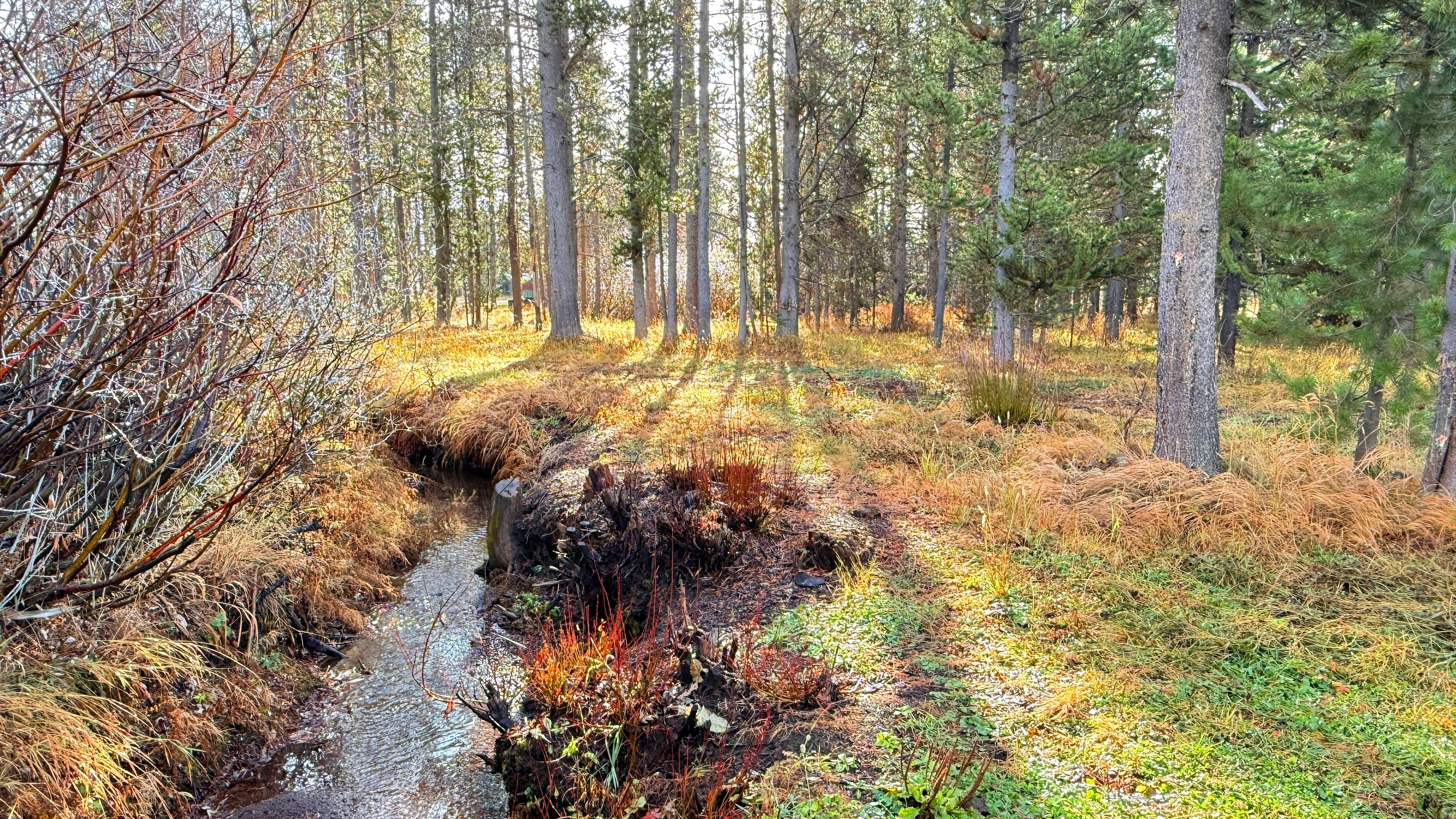 Baker's Hole Campground