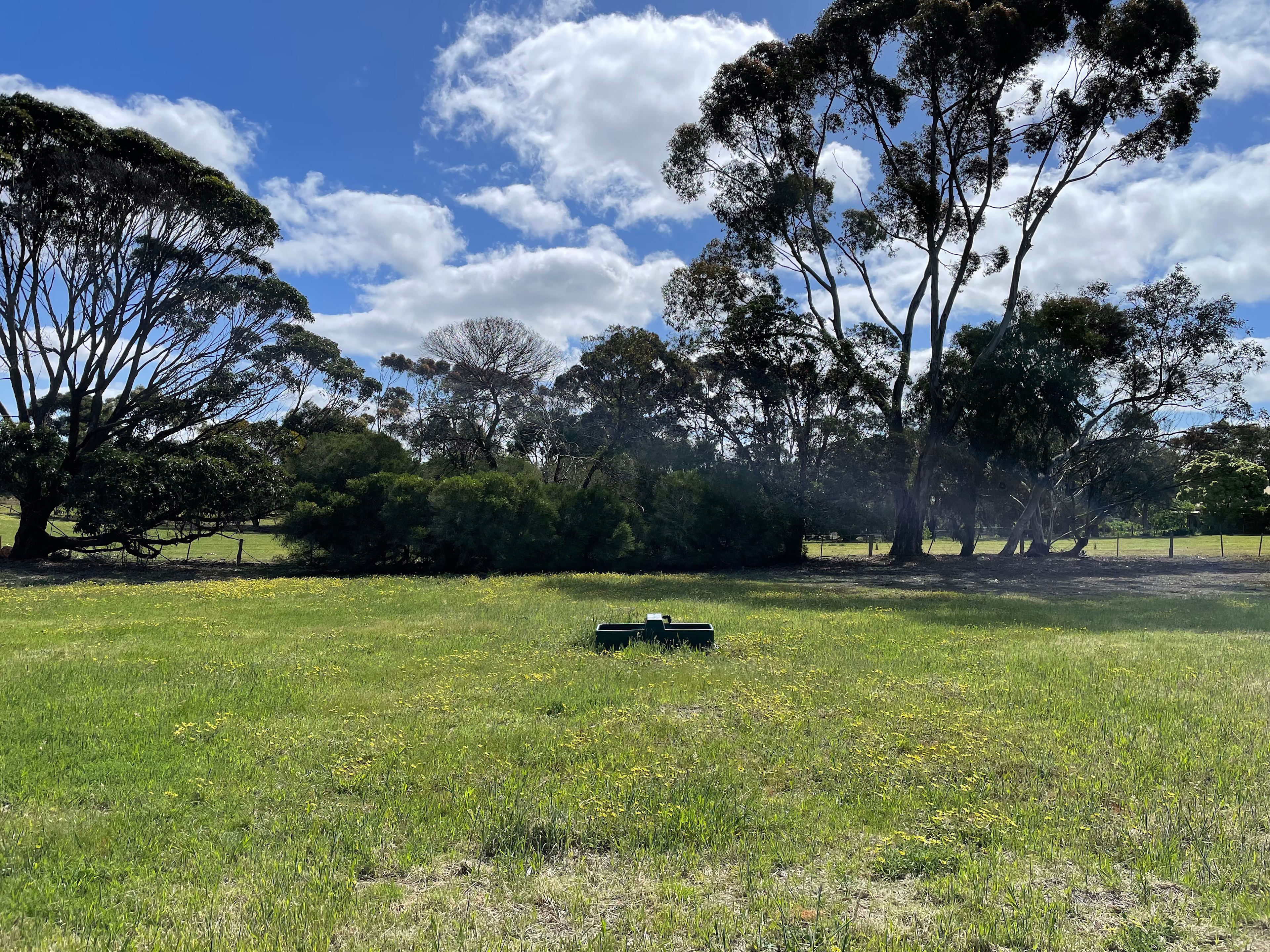 Afton Park - Heart of the Bellarine