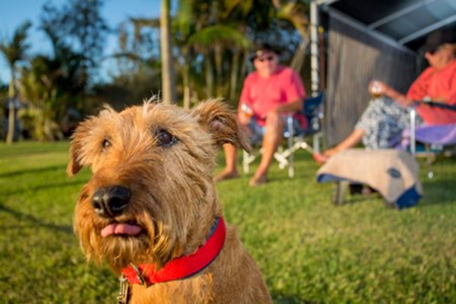 Lakeside Forster Holiday Park