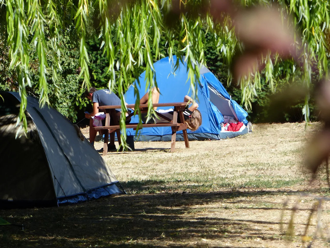Hampshire Holiday Parks - Wanaka