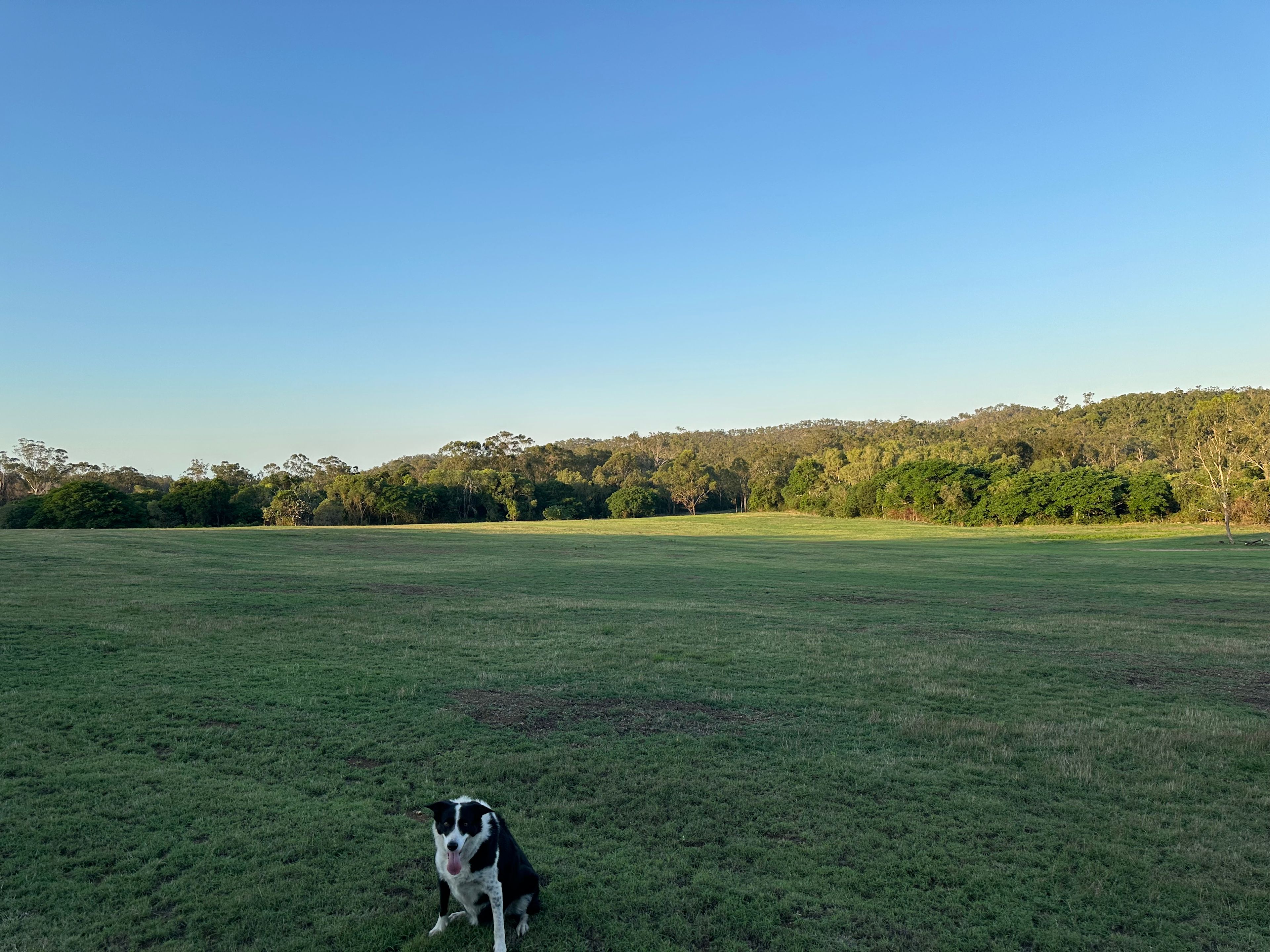Open space camping paddock