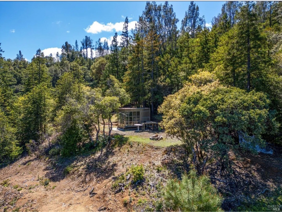 Low Flying Dragon 🐉