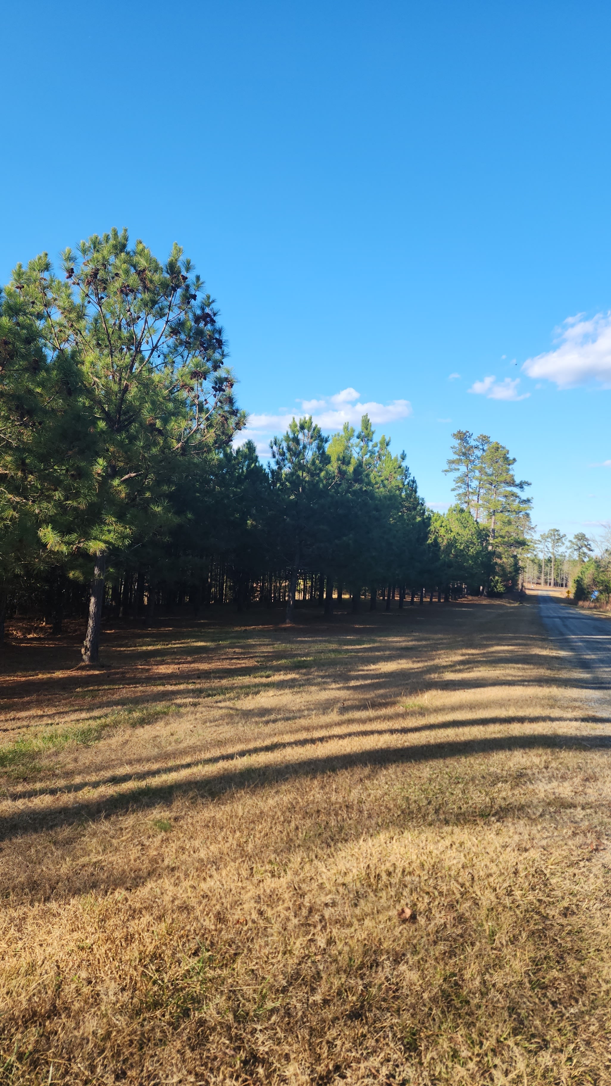 Twin Pines Farms LLC