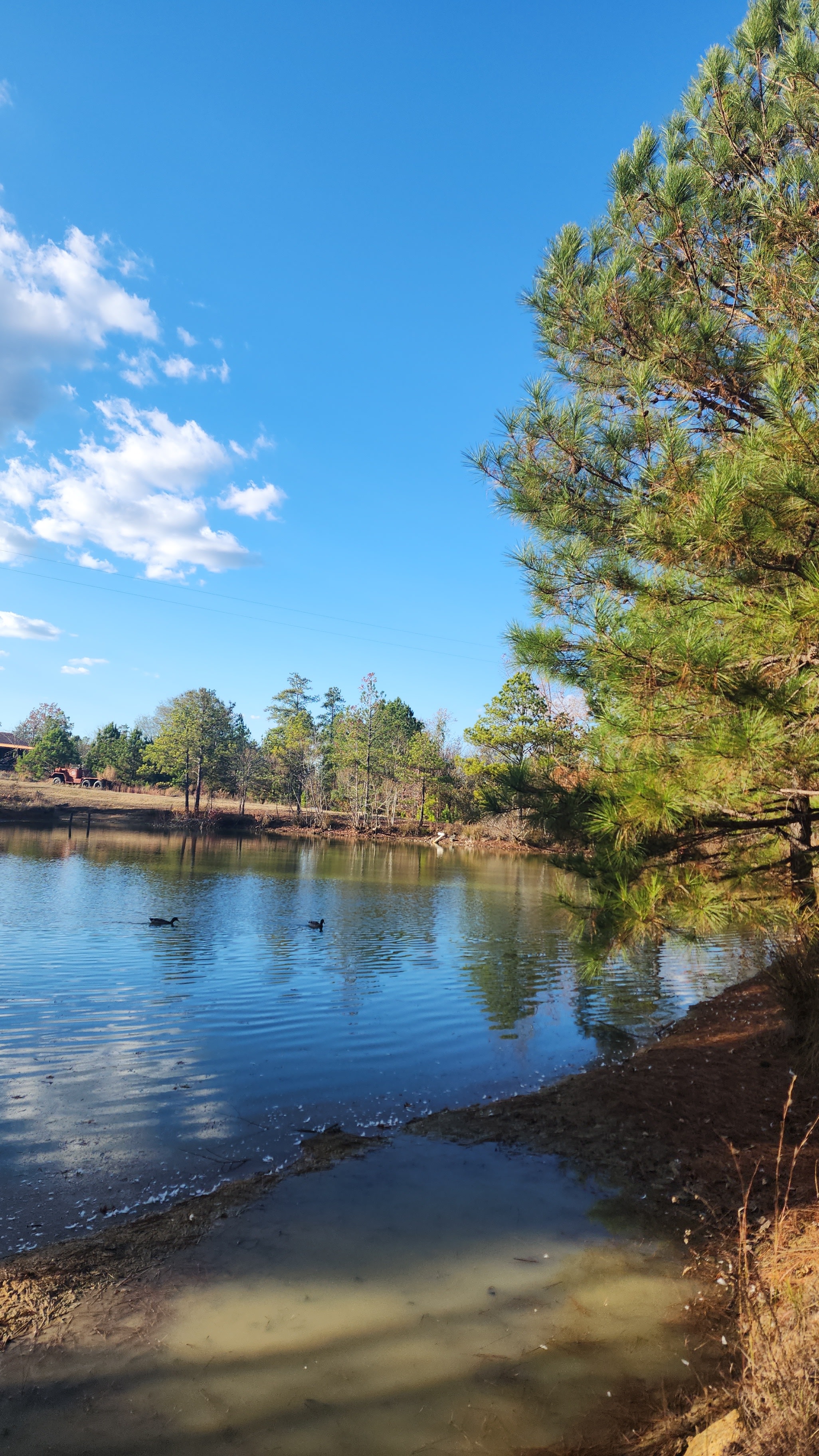 Twin Pines Farms LLC