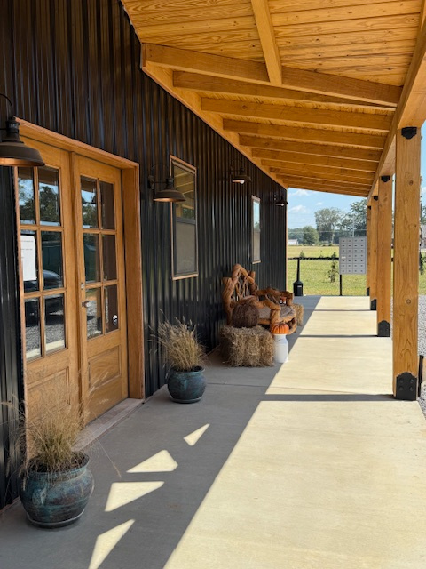 Campen by the creek in Alabama