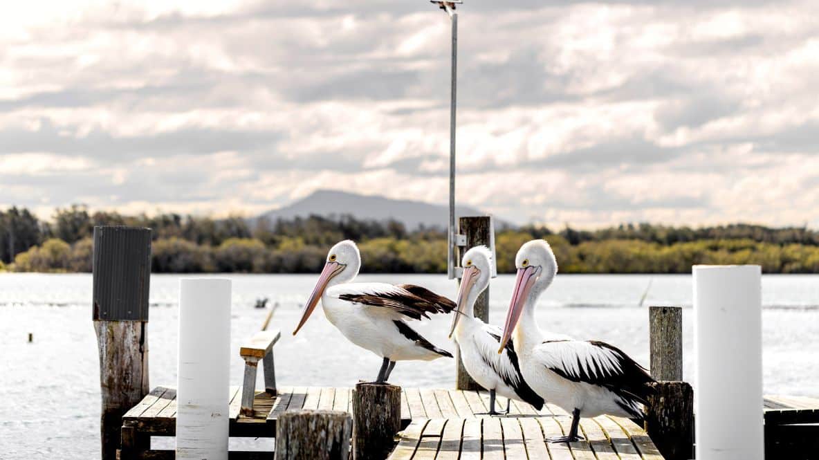 BIG4 Manning Point Holiday Park